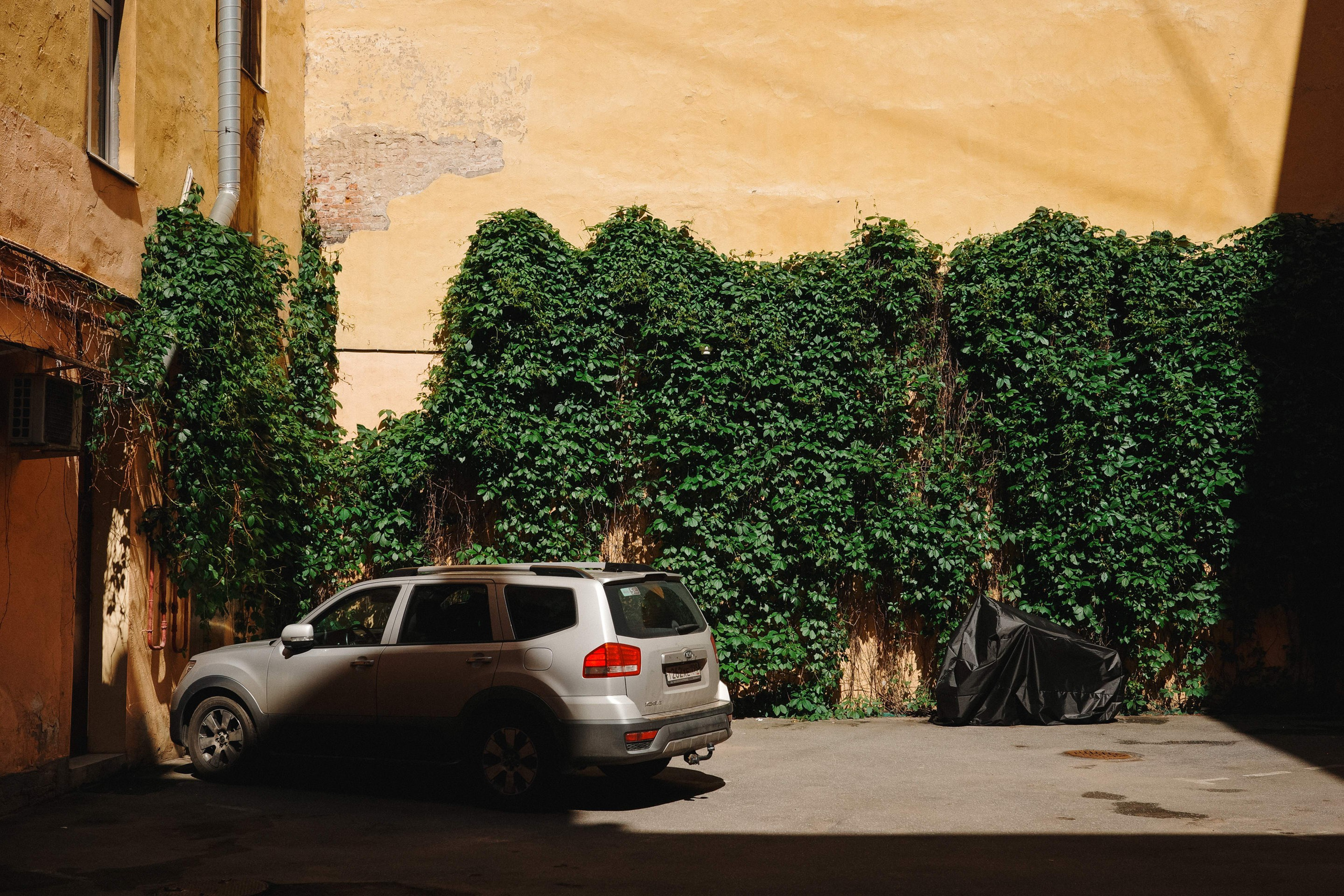 2025.06. Фотограф Алексей Алексеев