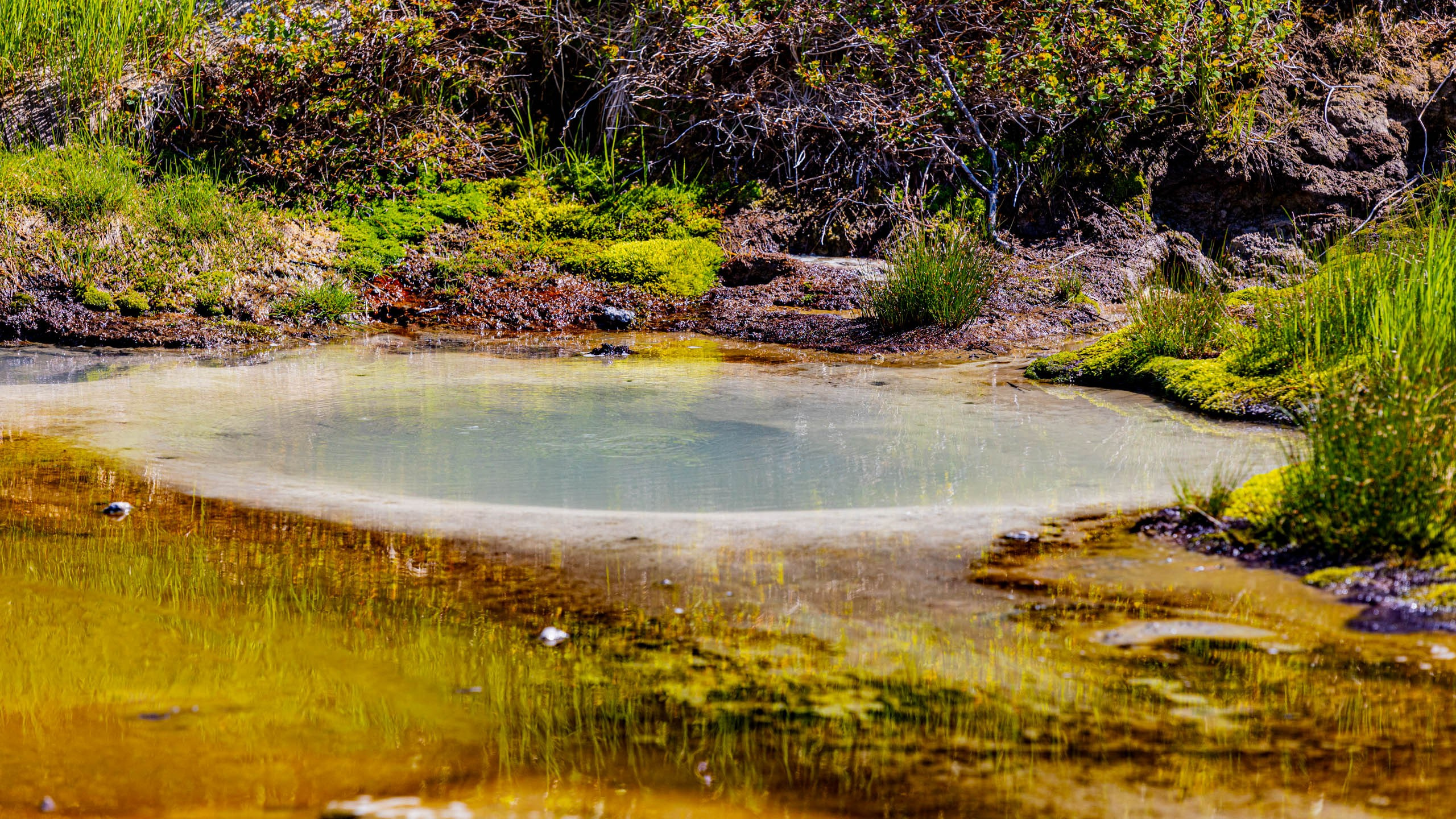 2023 07 Камчатка. Фотографии