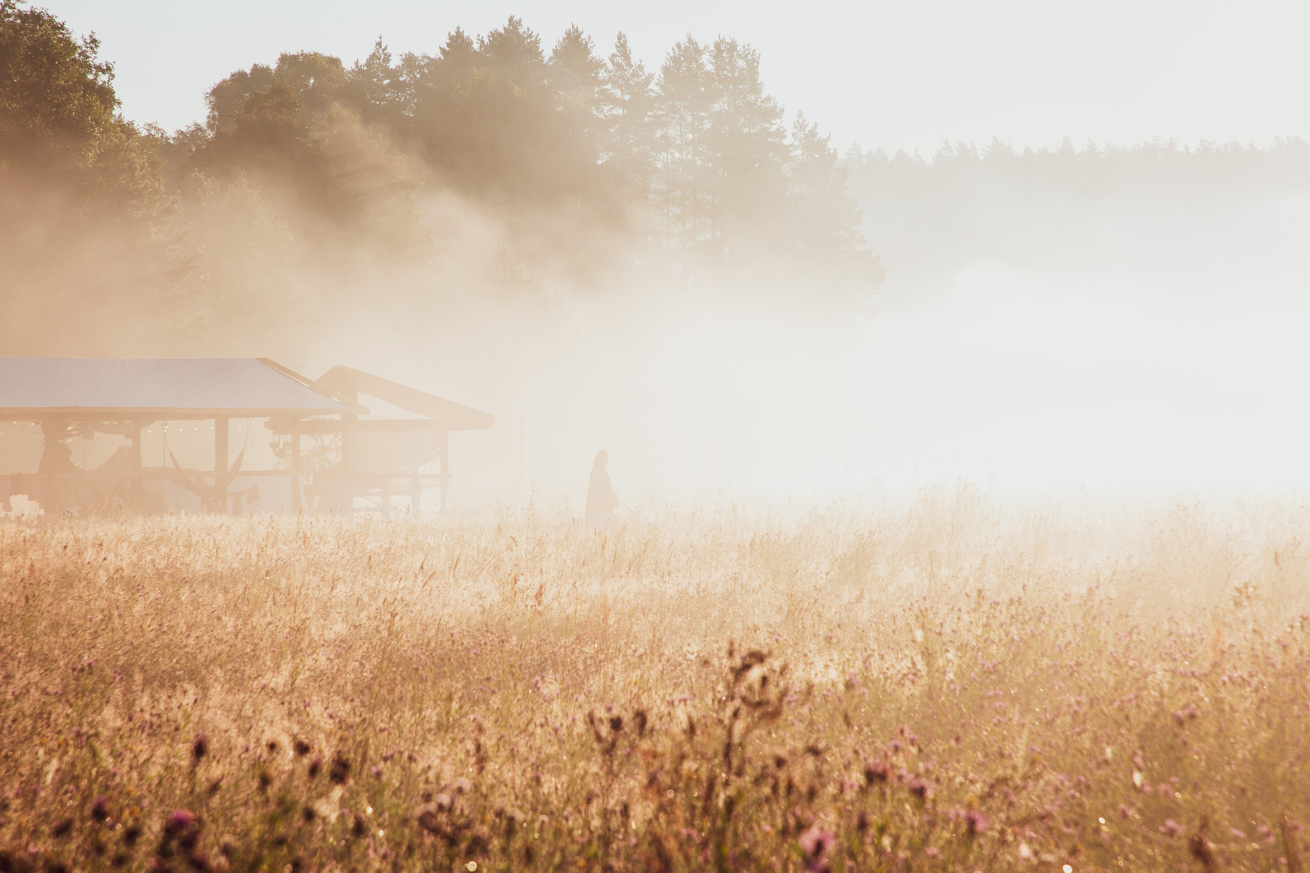 Insomnia-2024. Владислав Ромашев. Семейный и детский фотограф из Москвы