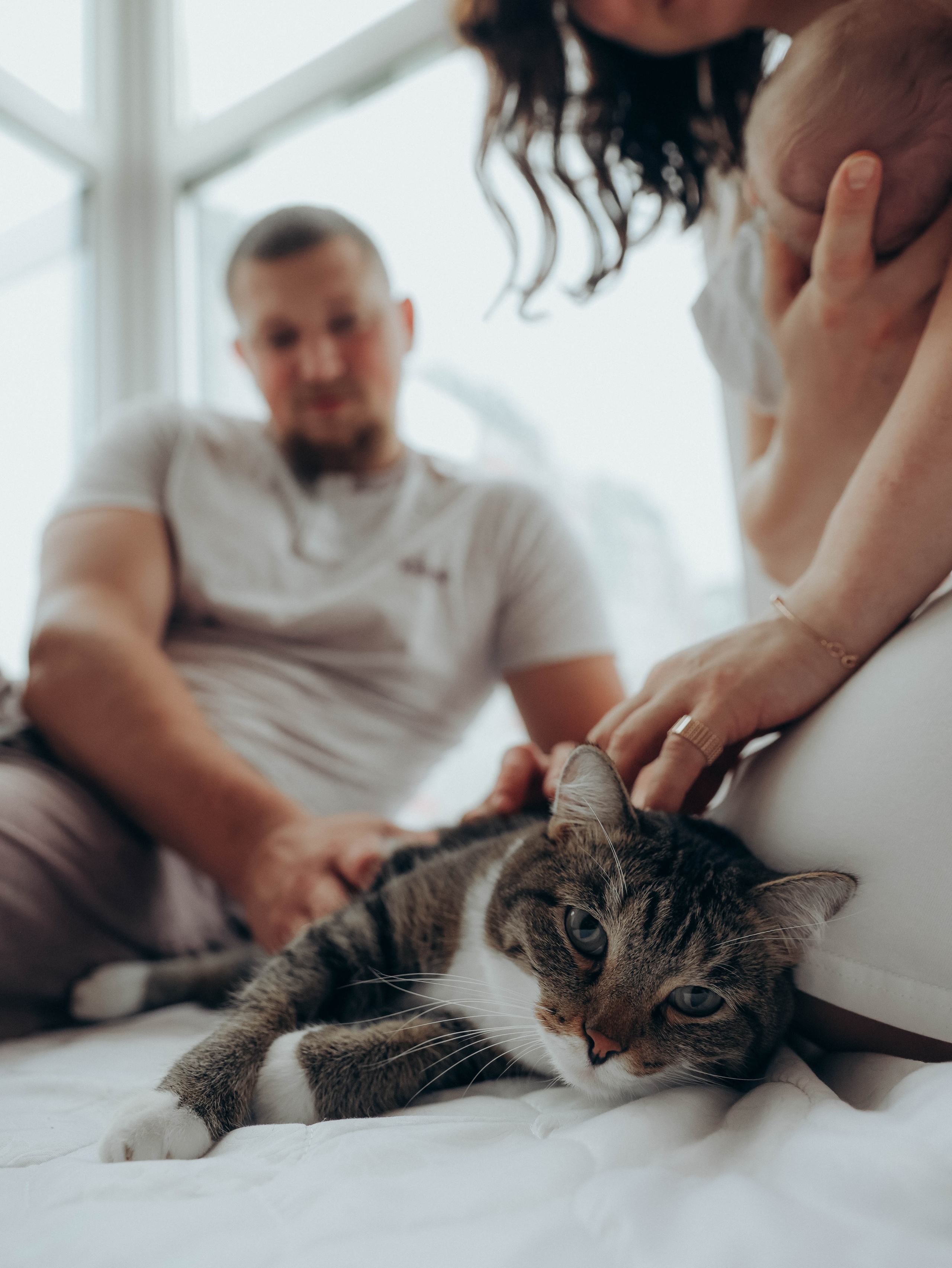 Любовь и котики. Мультифотограф Динара Ахмедзянова