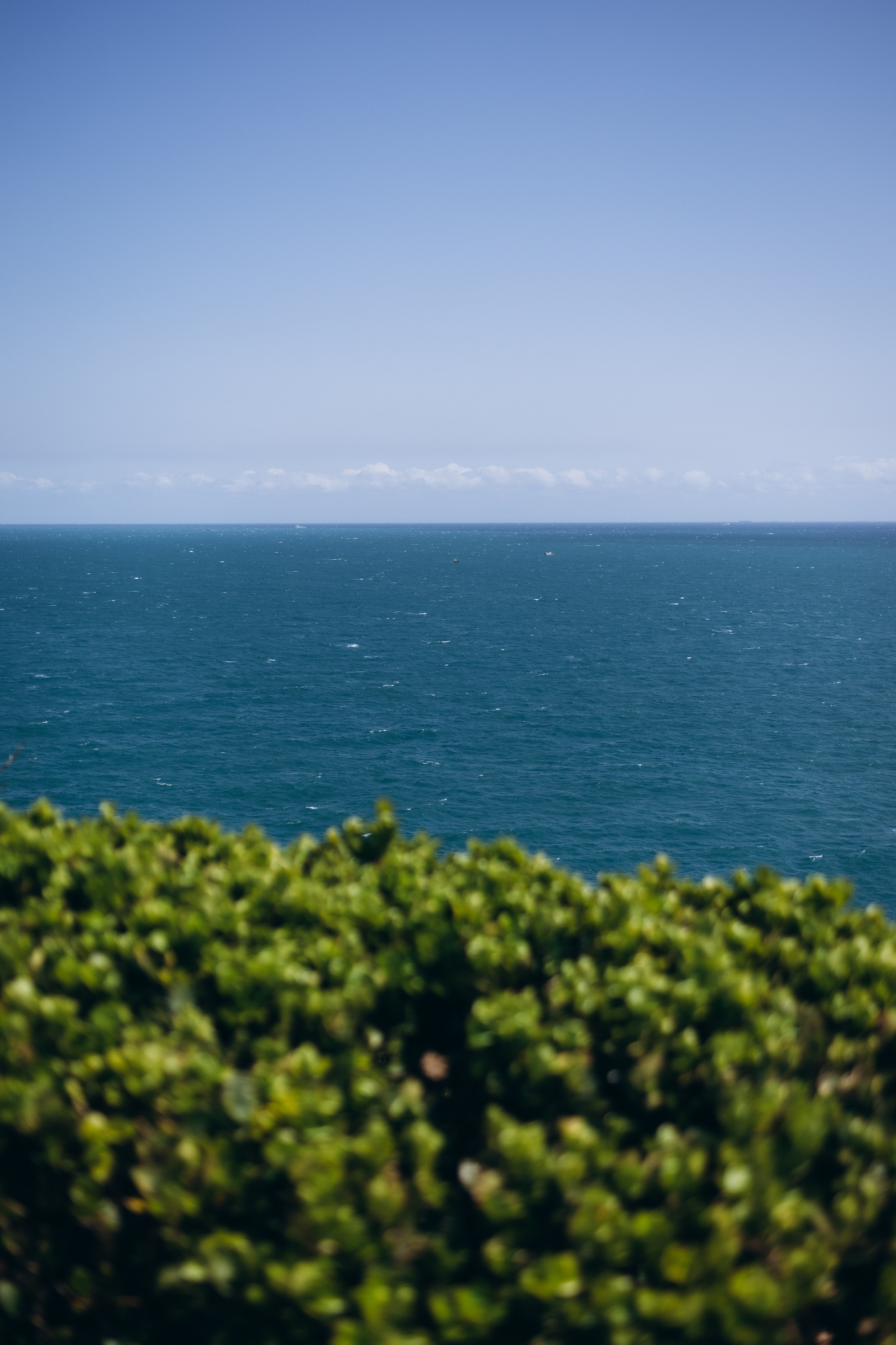 Девчонки из Пусана🌸. Фотограф Артем Бросов в Санкт-Петербурге и Дубае