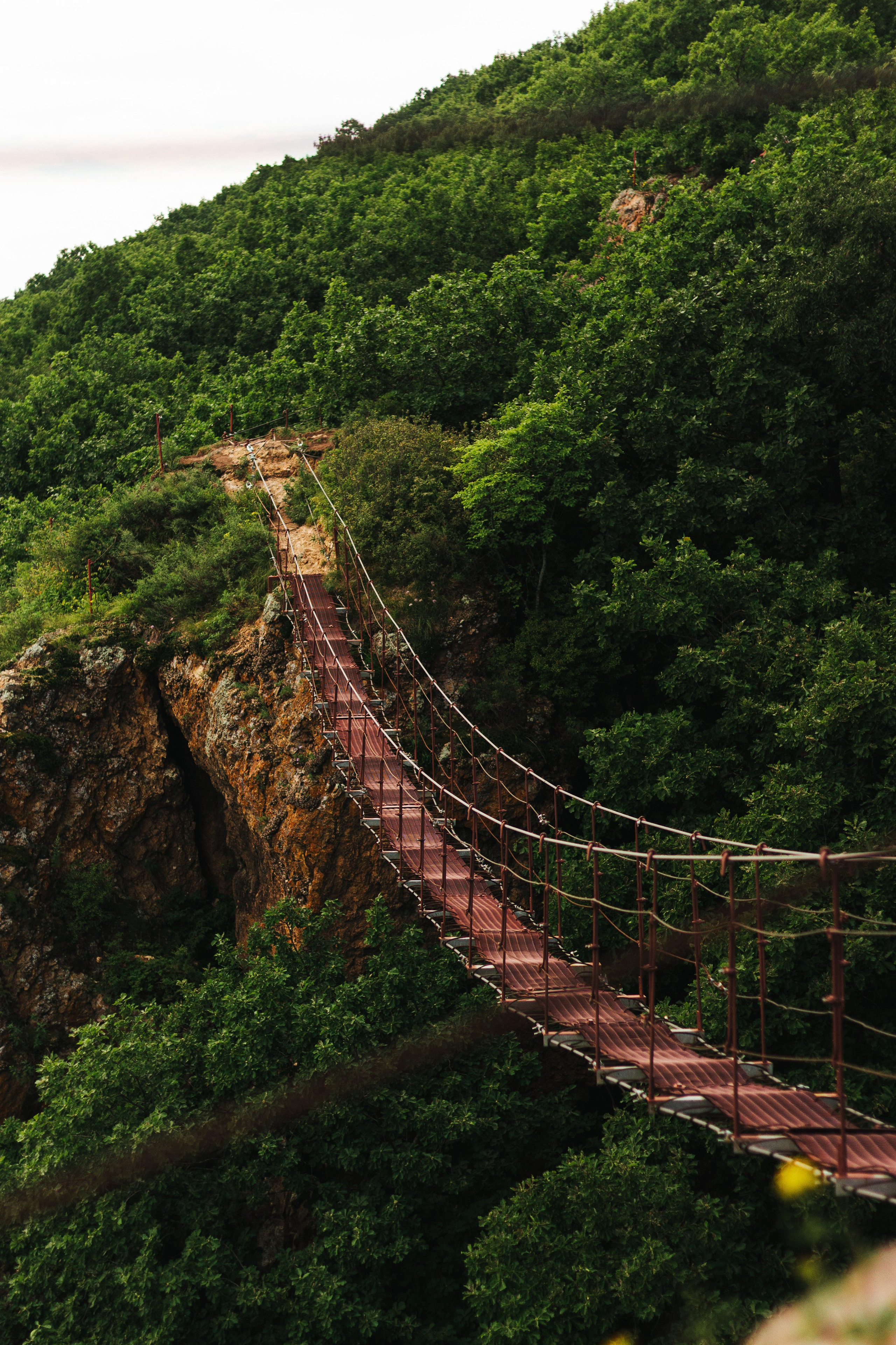 Пинежье летом. Фотограф Благовещенска Яна