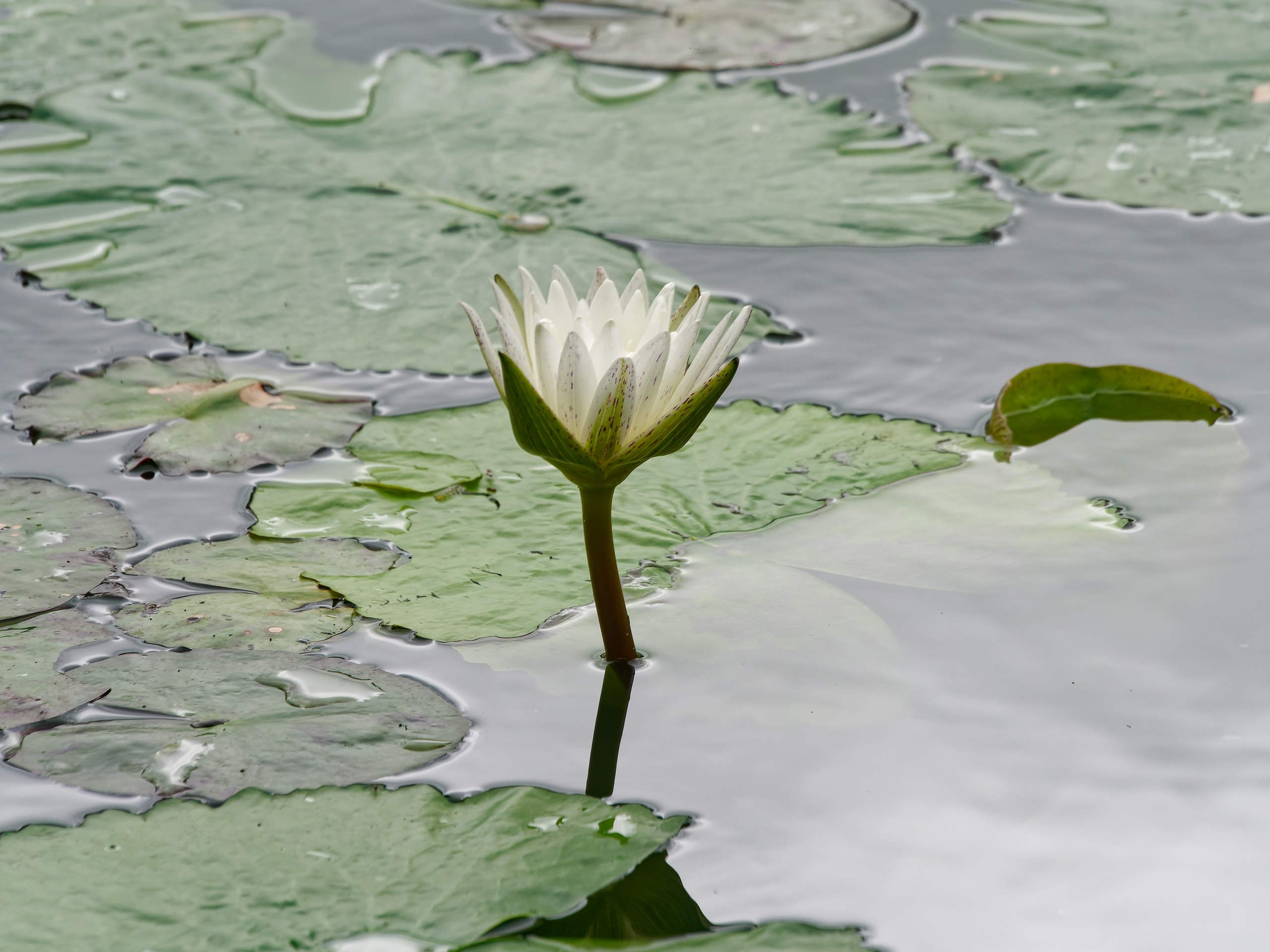 Нячанг 2025 (4). Избранные фотографии