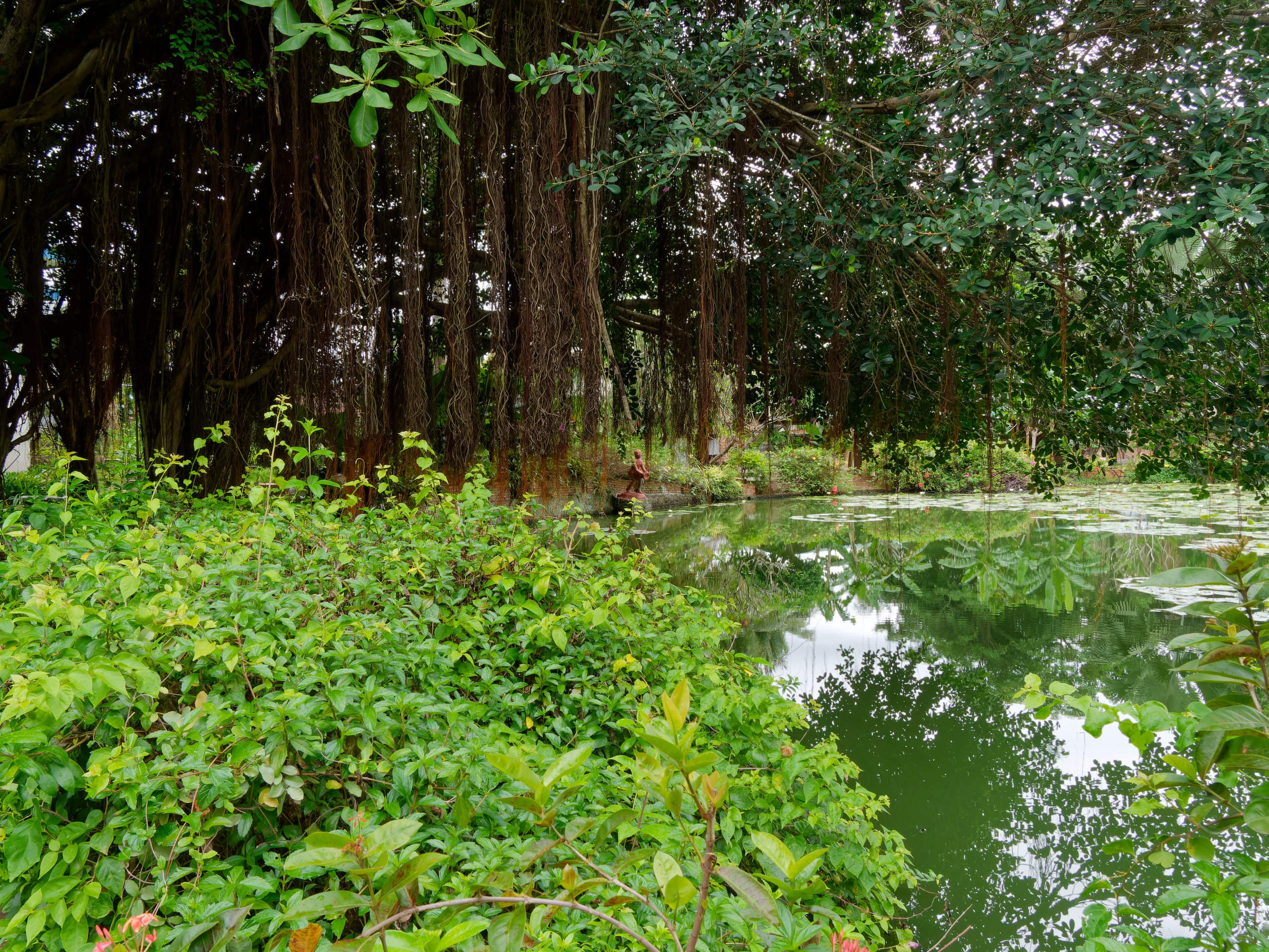 Нячанг 2025 (4). Избранные фотографии