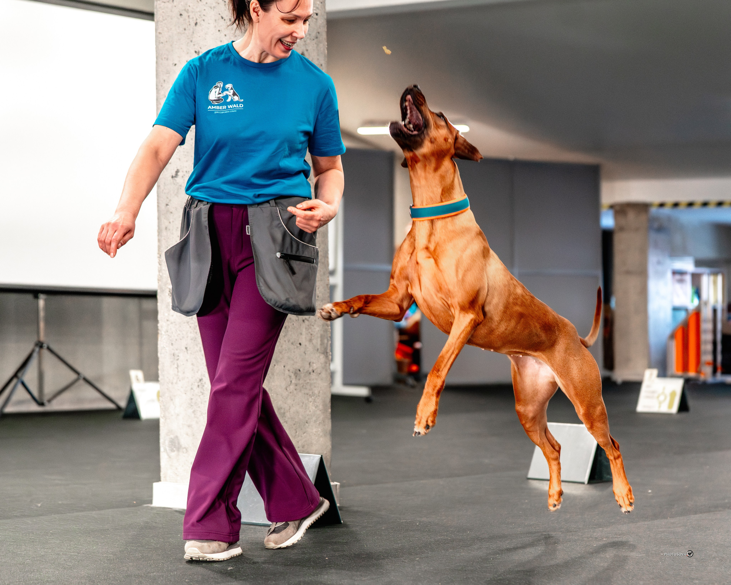 ТЫ И Я (соревнования по ралли-обидиенс). Фотограф-анималист, семейный фотограф в Москве и Подмосковье. Фотосъёмка кинологических дисциплин