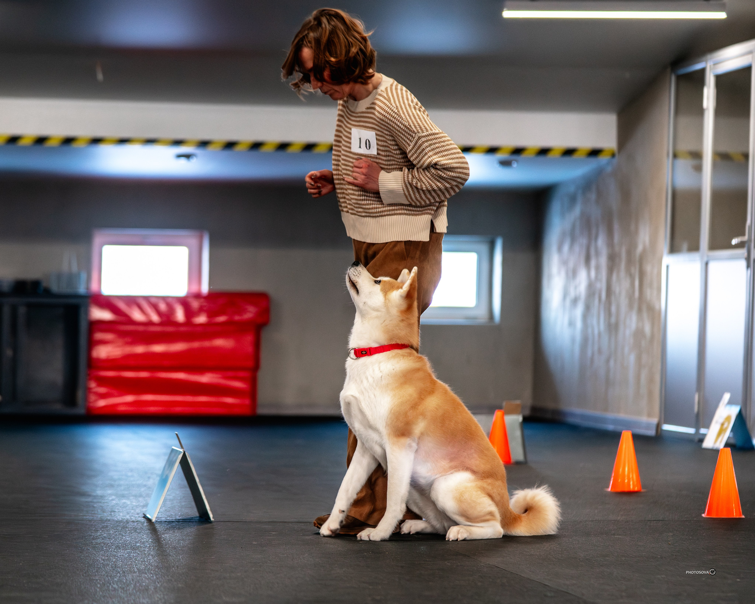 ТЫ И Я (соревнования по ралли-обидиенс). Фотограф-анималист, семейный фотограф в Москве и Подмосковье. Фотосъёмка кинологических дисциплин