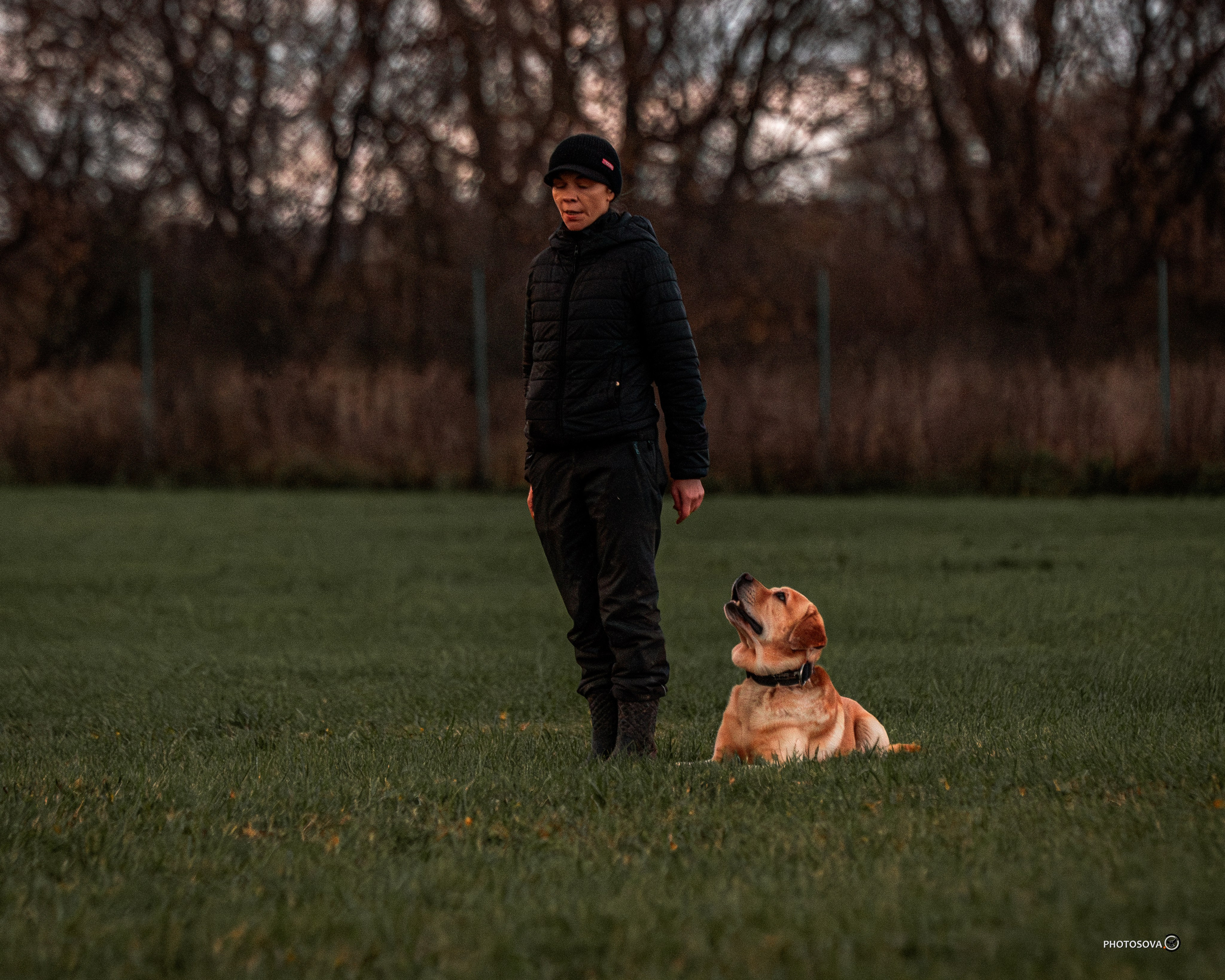 МЫ — КОМАНДА (соревнования) OKD, BH, IBGH, IGP. Фотограф-анималист, семейный фотограф в Москве и Подмосковье. Фотосъёмка кинологических дисциплин