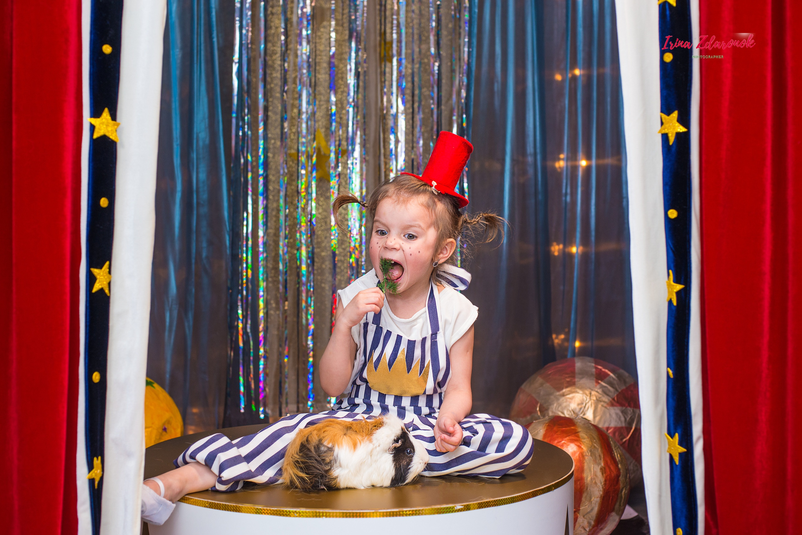 Фотопроект Цирк. ZDARONOKIA Репортажный фотограф