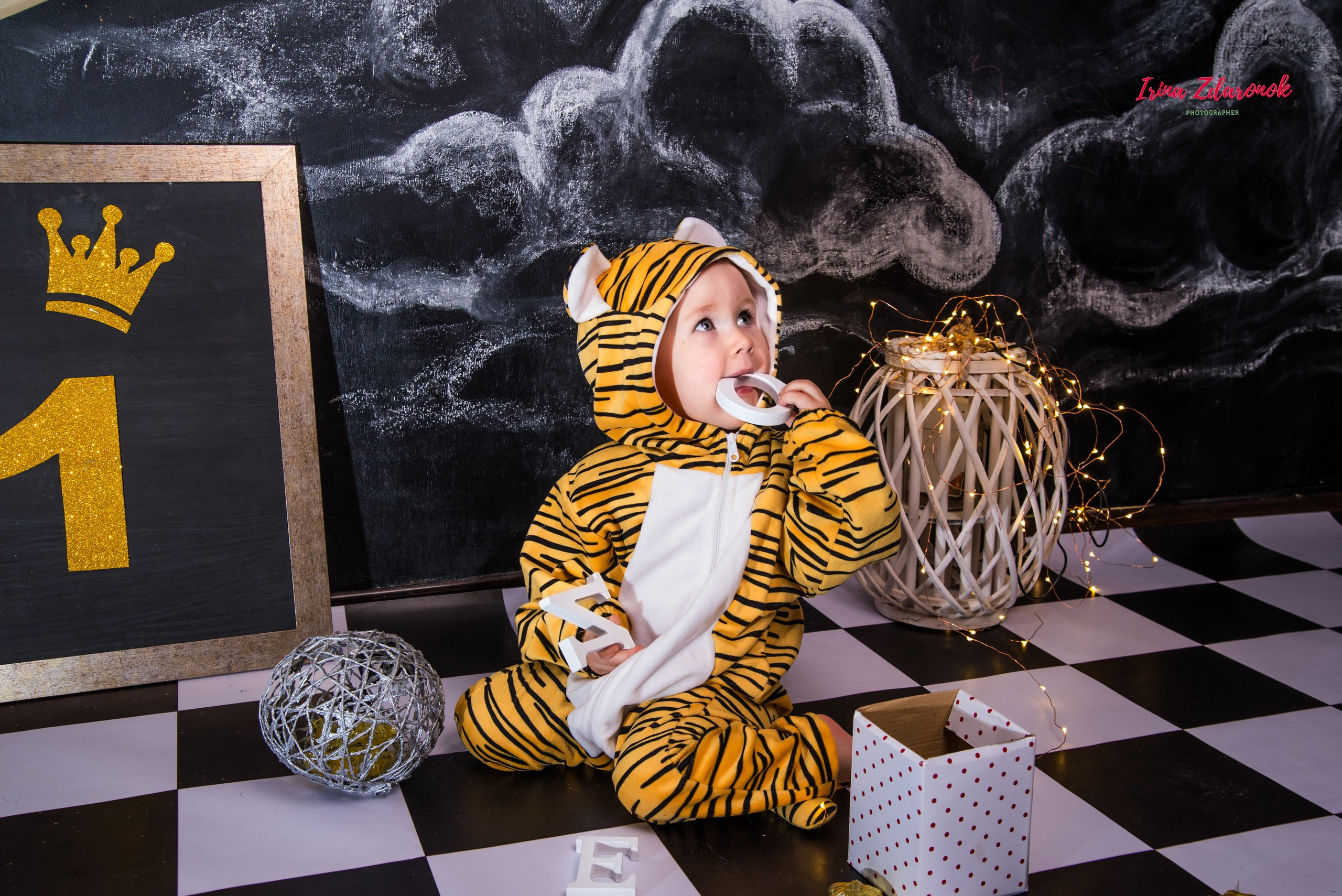 Фотопроект Цирк. ZDARONOKIA Репортажный фотограф