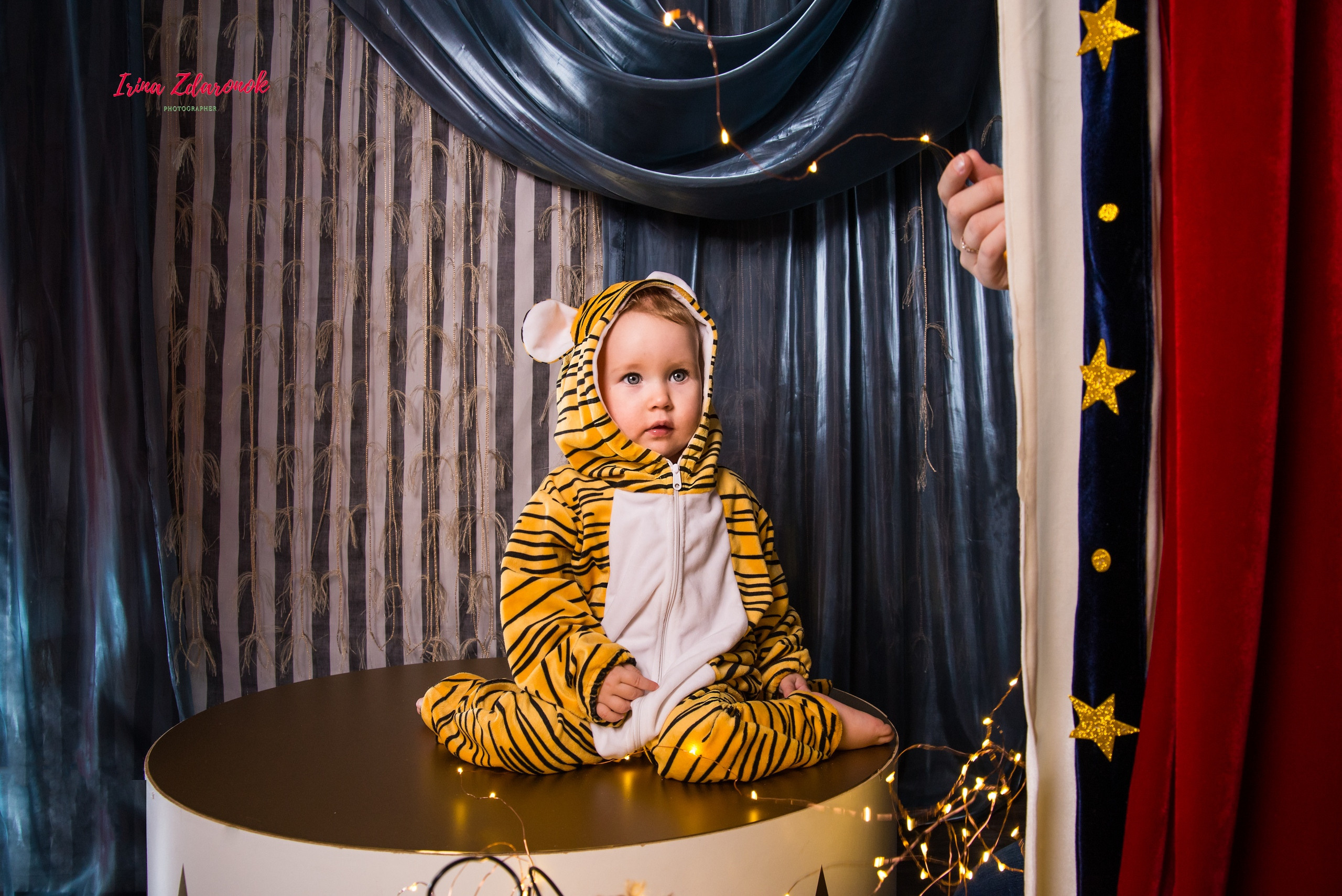 Фотопроект Цирк. ZDARONOKIA Репортажный фотограф