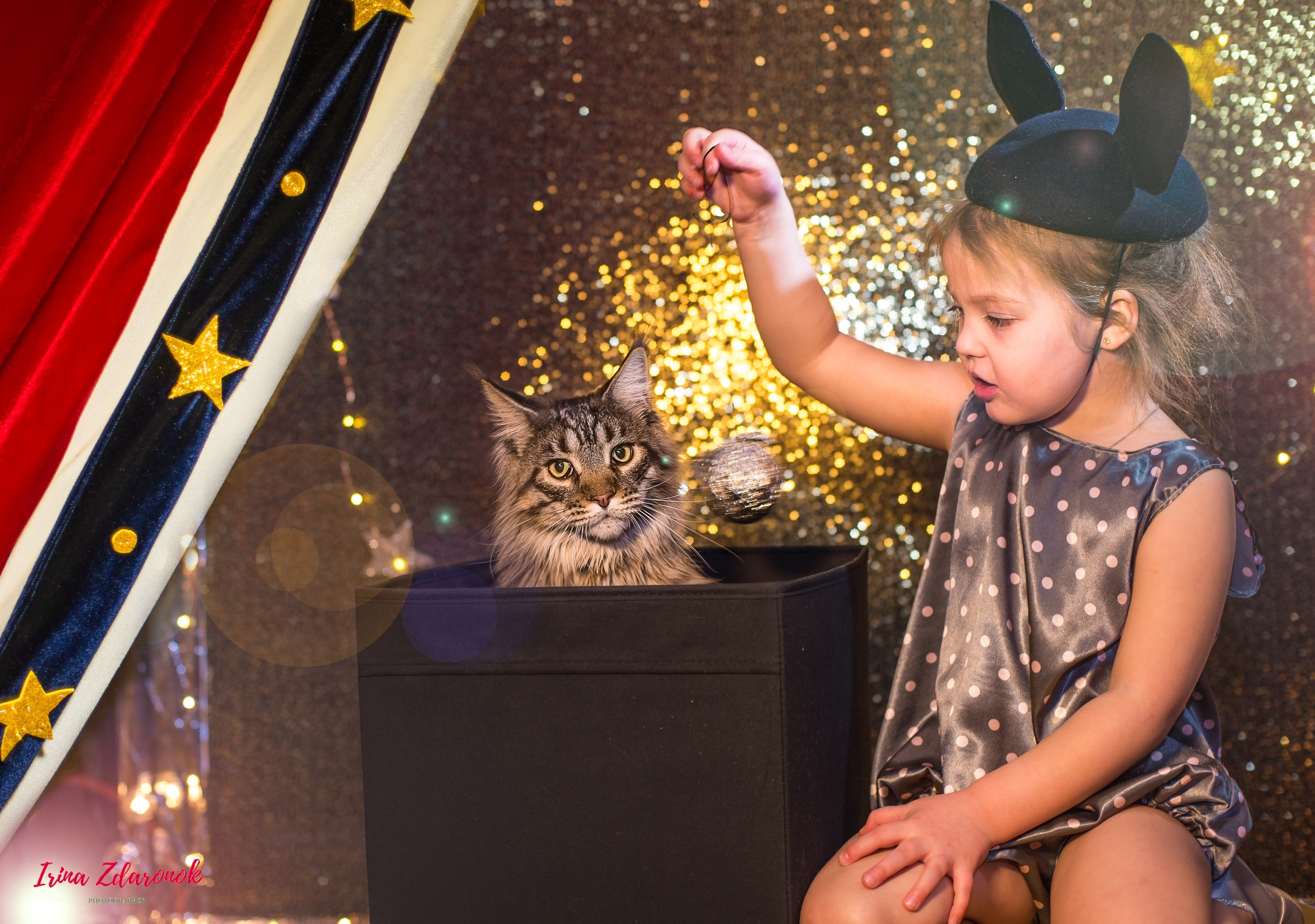 Фотопроект Цирк. ZDARONOKIA Репортажный фотограф