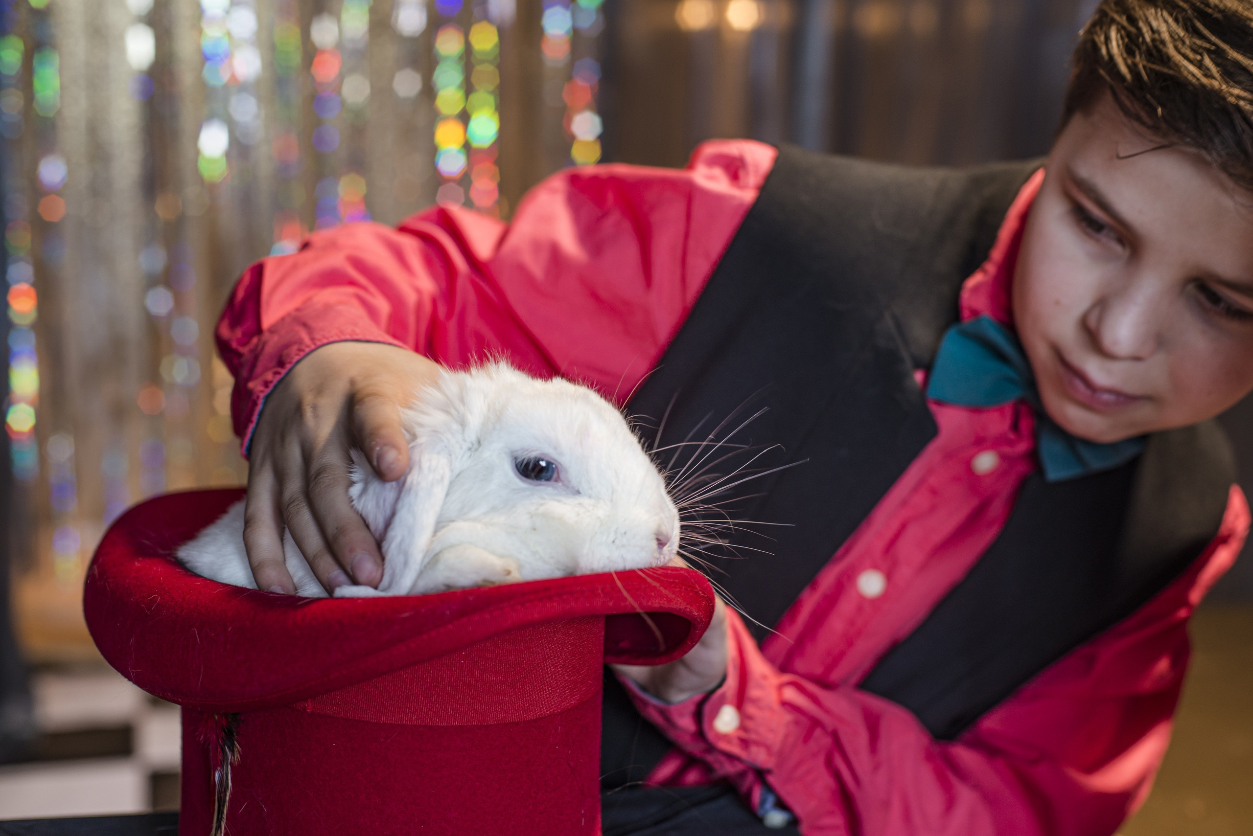 Фотопроект Цирк. ZDARONOKIA Репортажный фотограф