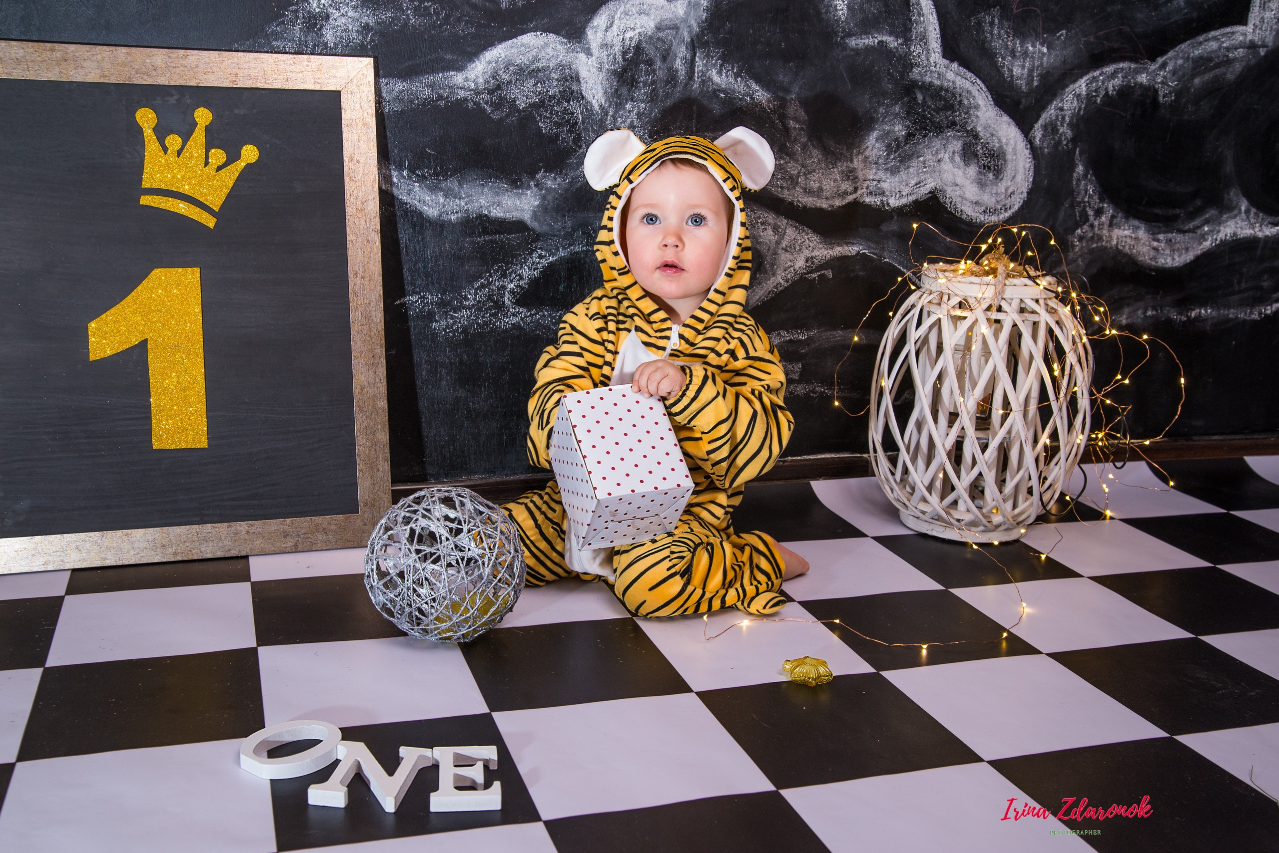 Фотопроект Цирк. ZDARONOKIA Репортажный фотограф