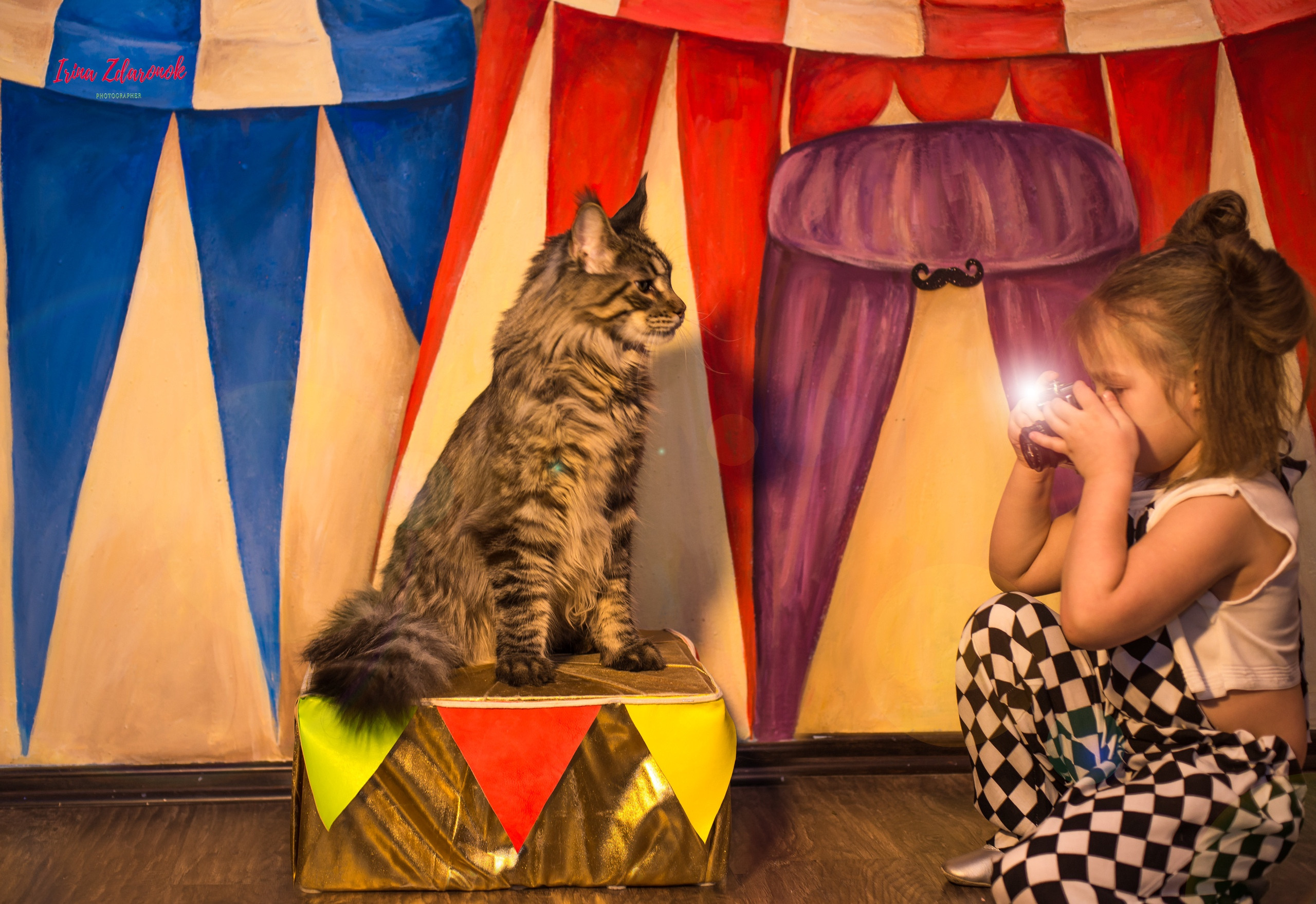 Фотопроект Цирк. ZDARONOKIA Репортажный фотограф