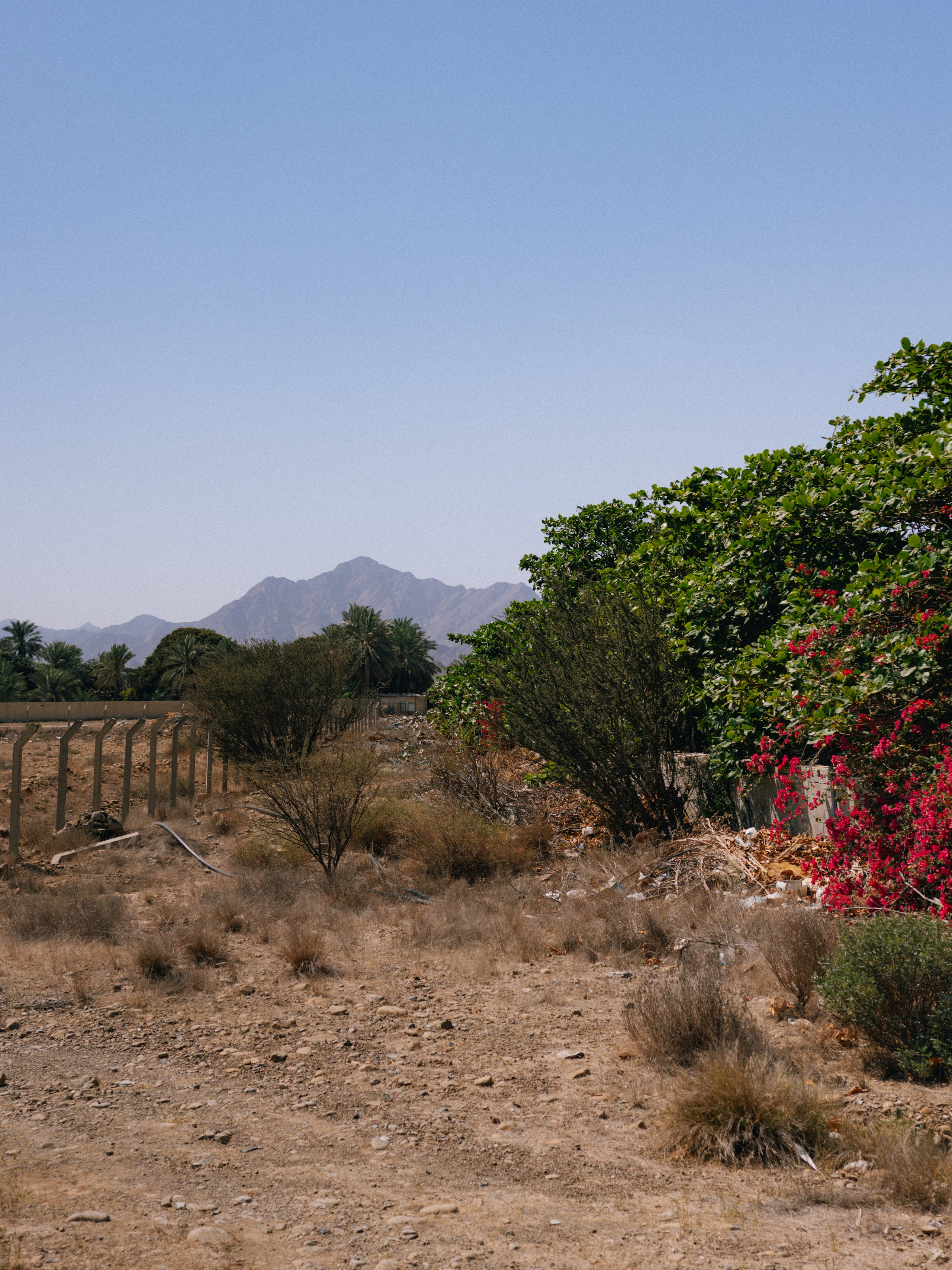 FUJEIRAH. Свадебный и семейный фотограф Никита Корохов
