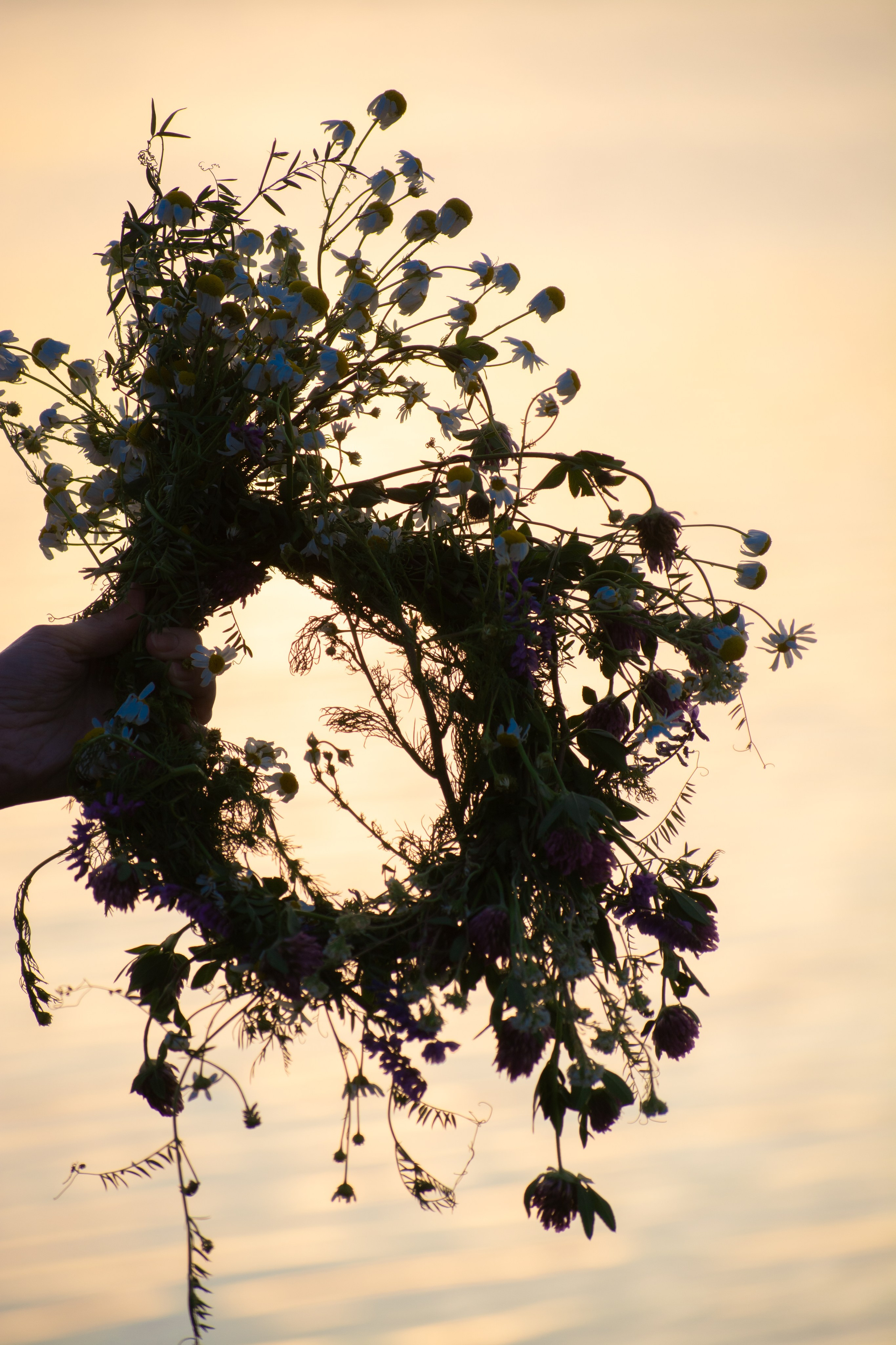 Фотопроекты. Фотограф в Новосибирске Мальвина Ветшак