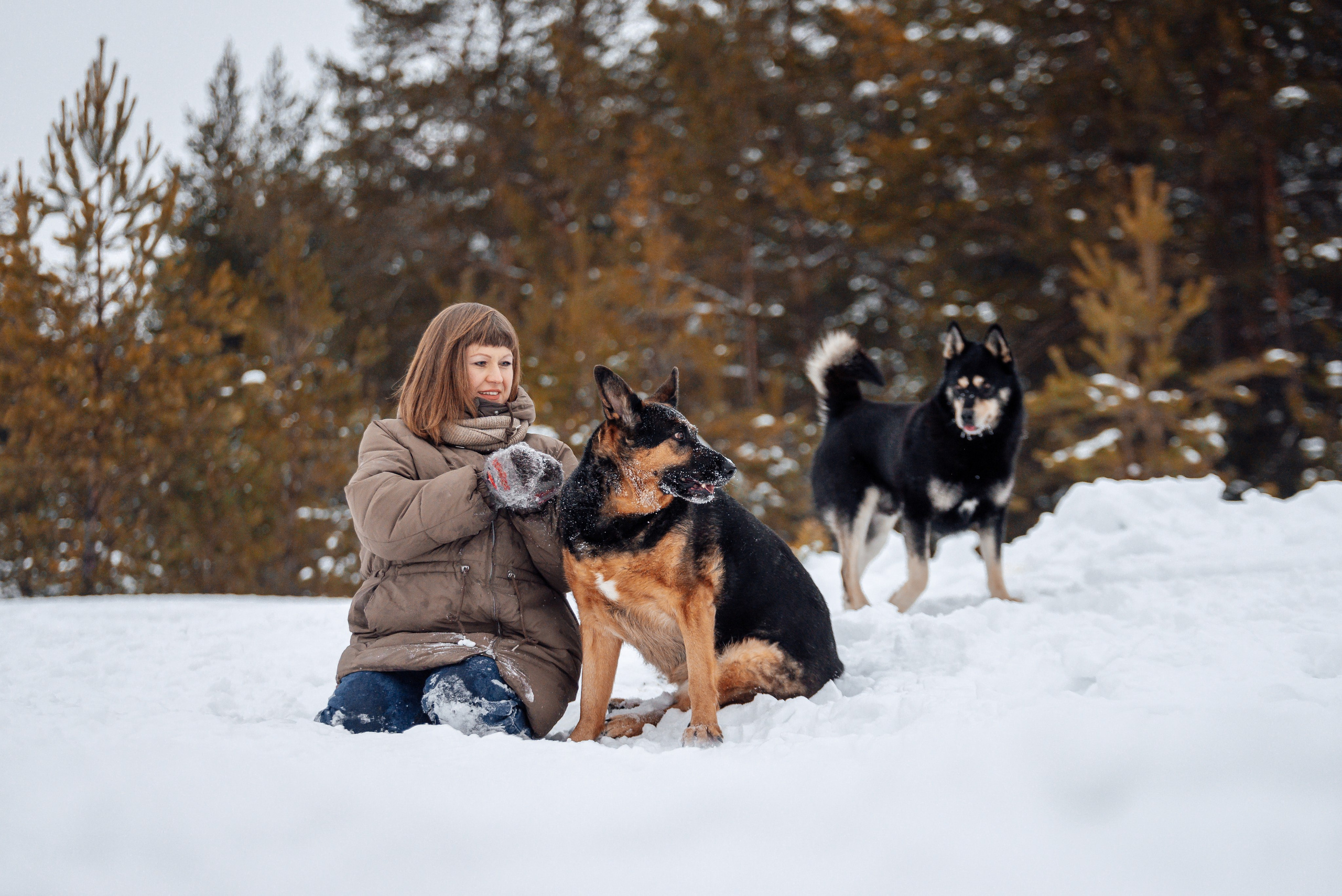 Светлана, Альфа и кошки ✨. Фотограф-анималист Анастасия Парфенова|Екатеринбург