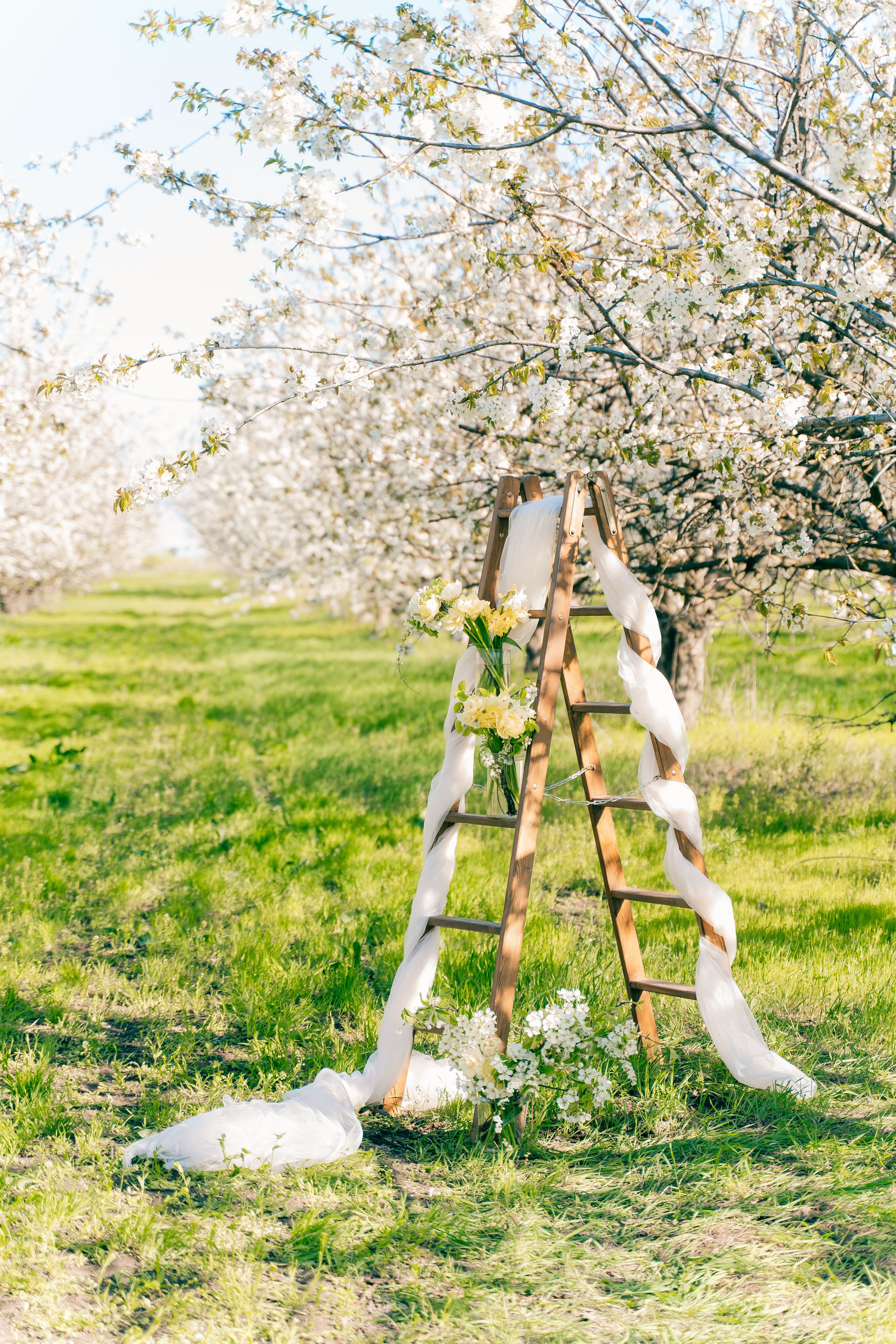 Цветущие сады. Семейный фотограф Новочеркасск