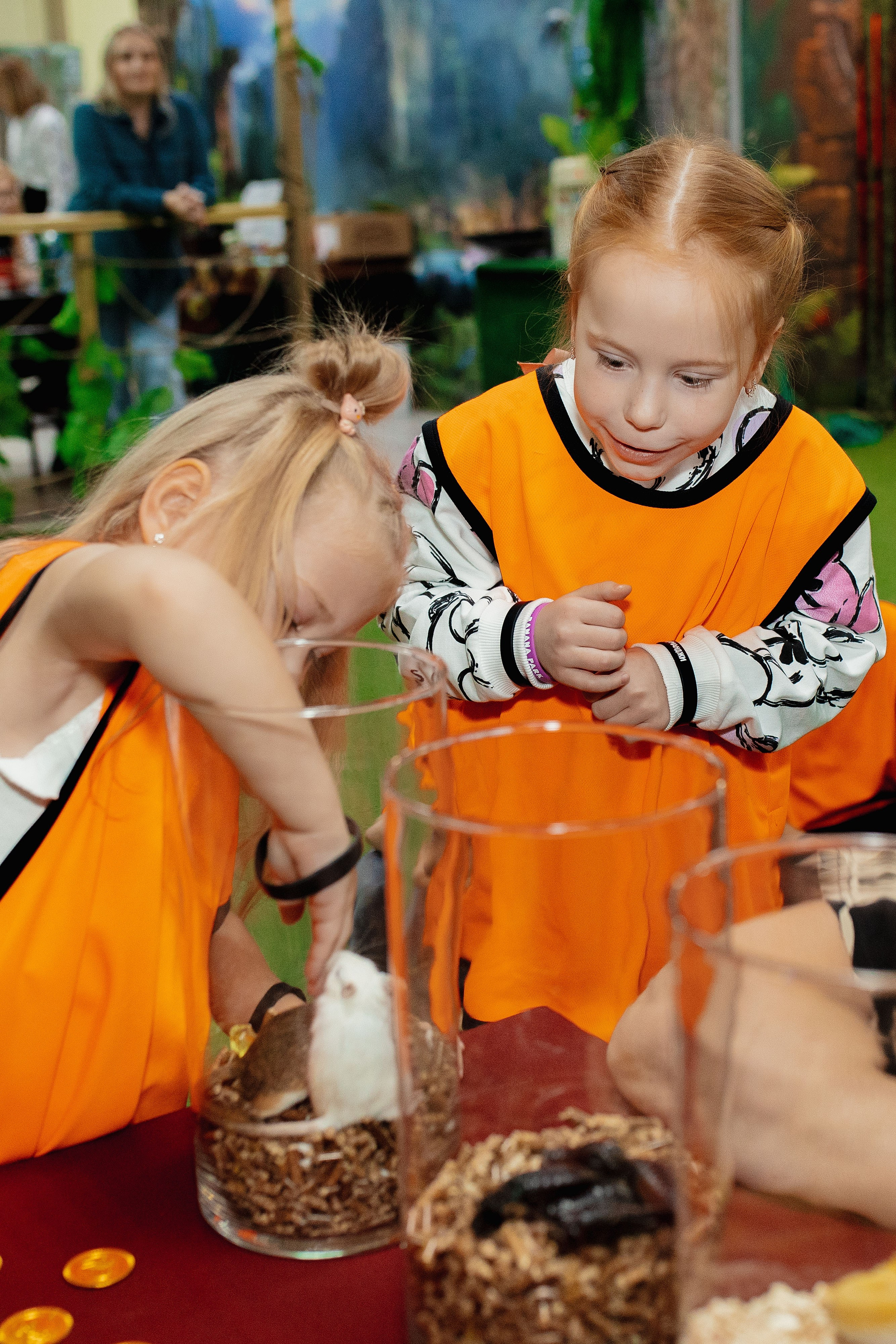 День рождения в Джуманджи. Фотограф в Красноярске по выгодной цене