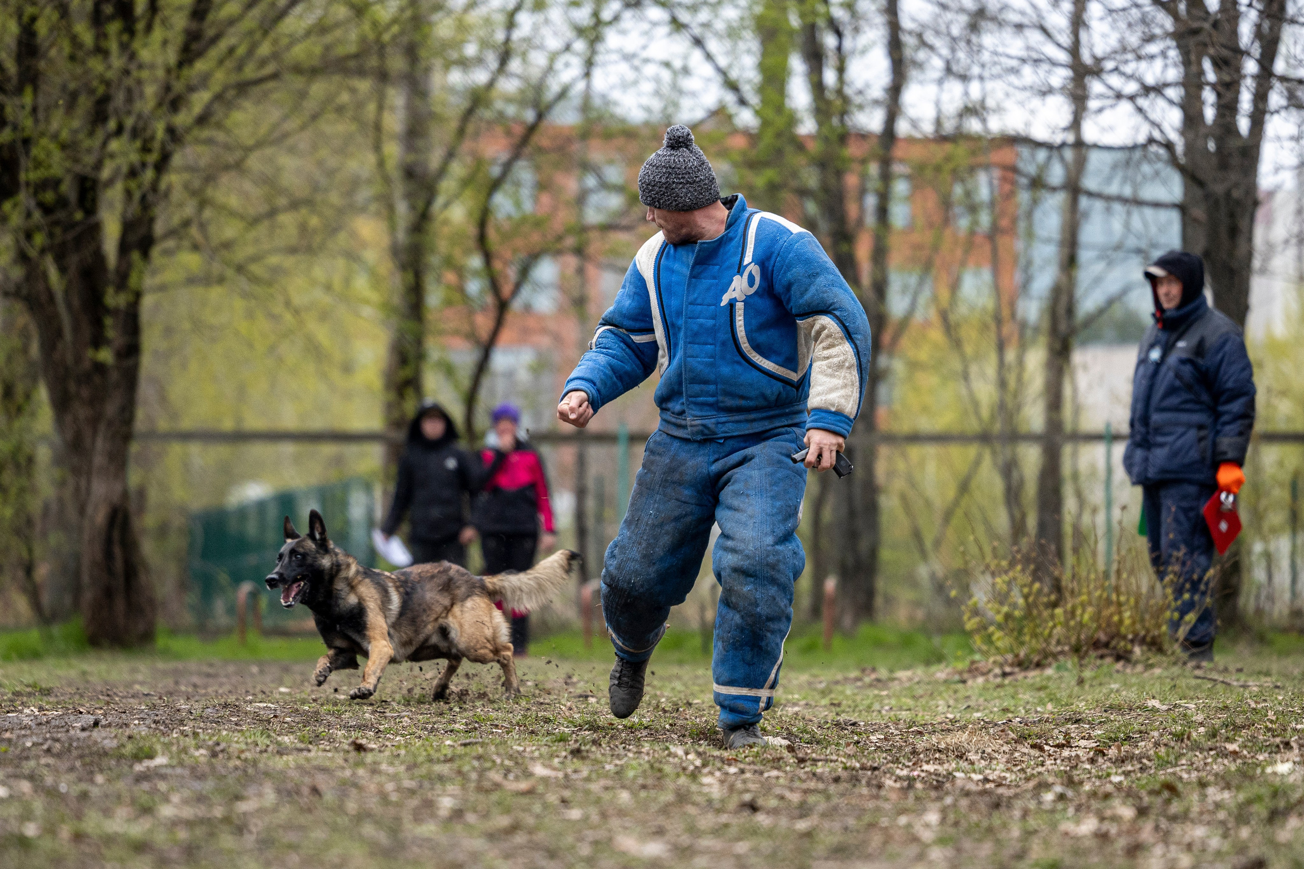 Квалификационные состязания по мондьорингу г. Вологда 11.05.24. Фотограф-анималист Анна Маринич