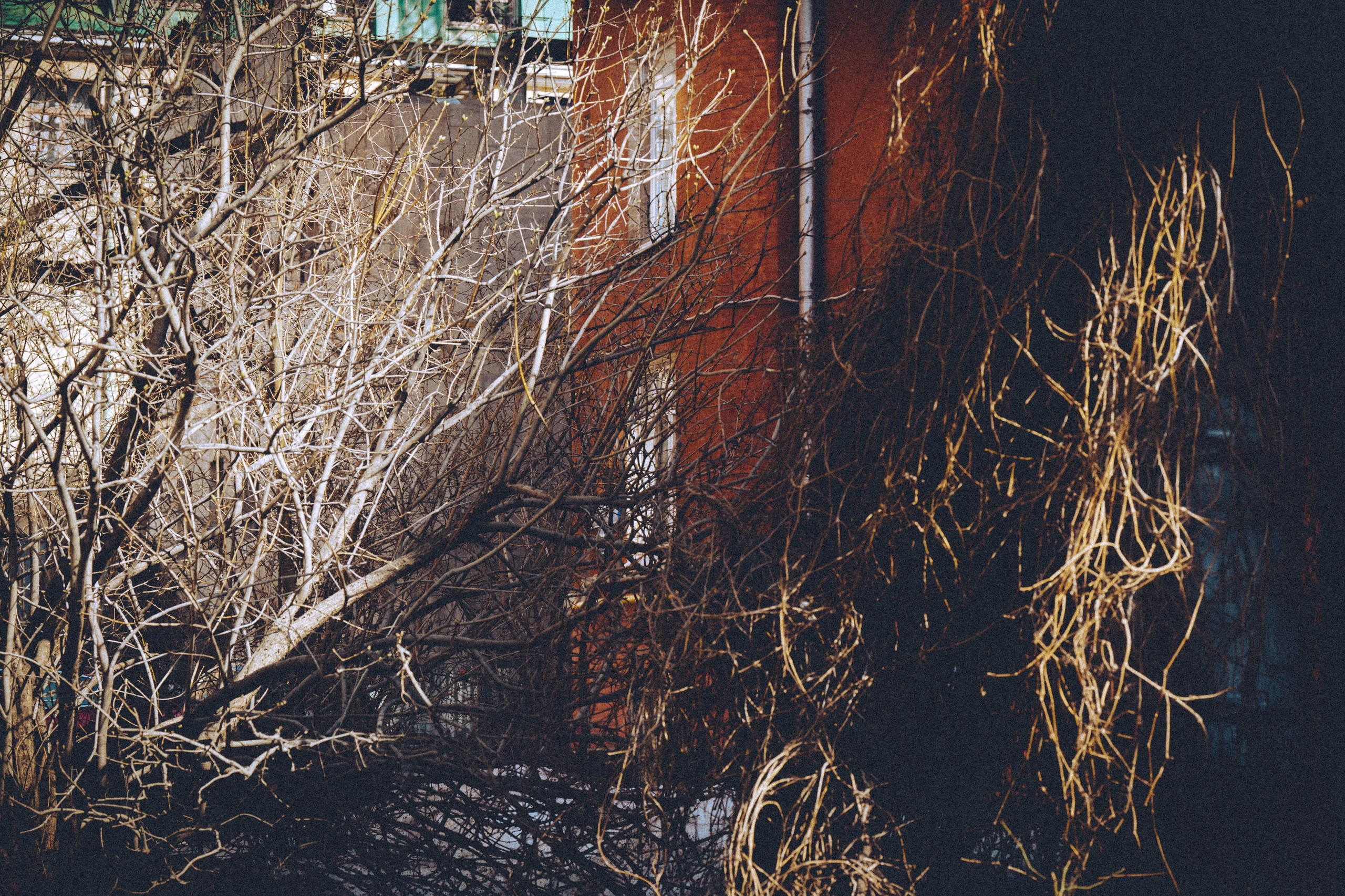 Тихие переулки на Чистых прудах. Polypolarphotography