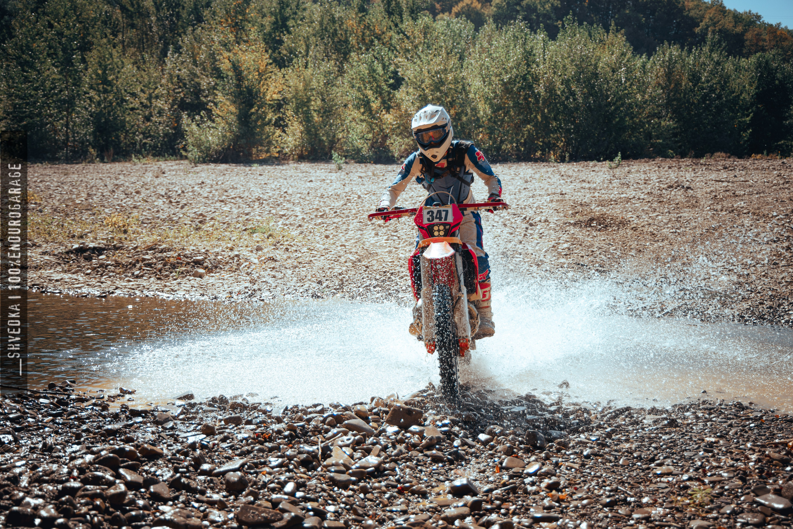 1 лесной день. Ваш экстрим фотограф Кудрева Яна