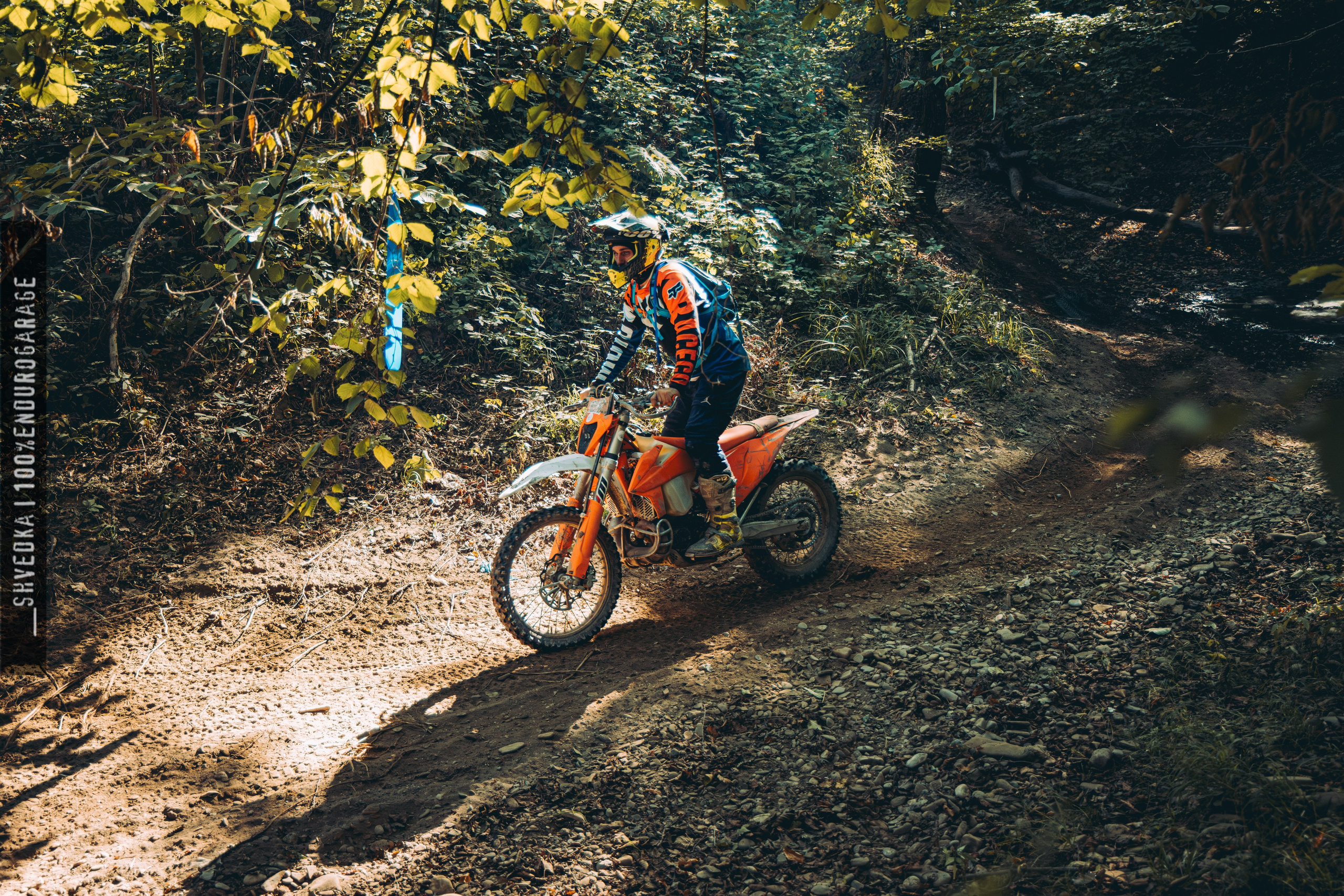 2 лесной день. Ваш экстрим фотограф Кудрева Яна