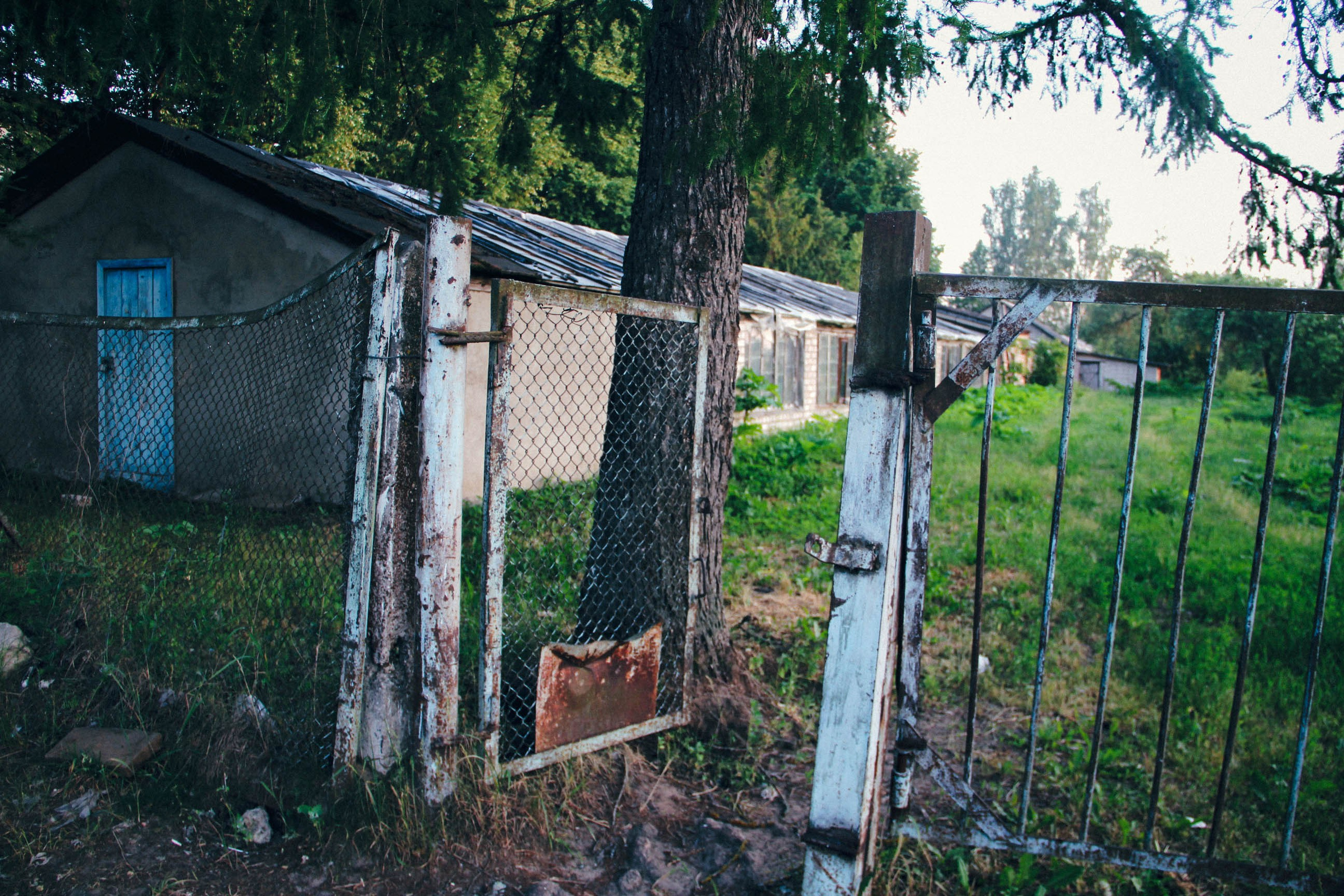 Пос. Сахарово. Фотограф Ксения Монахова