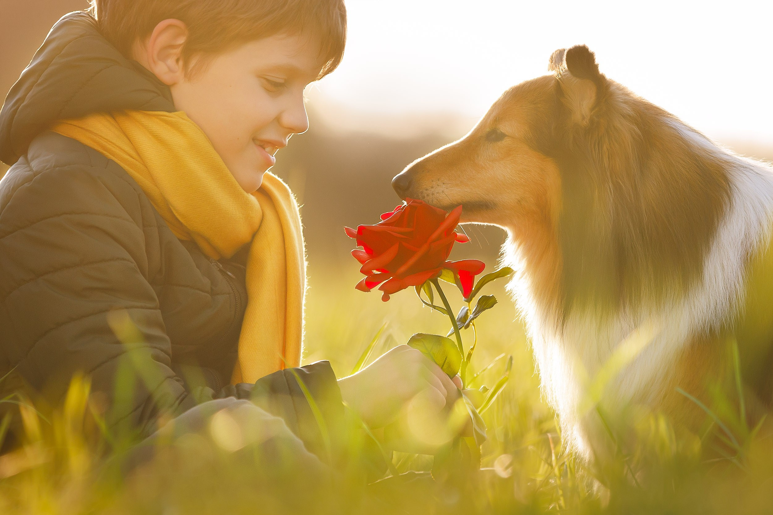 Фотосессия Маленький Принц. Фотограф-анималист в Москве и Московской области Татьяна Фролова