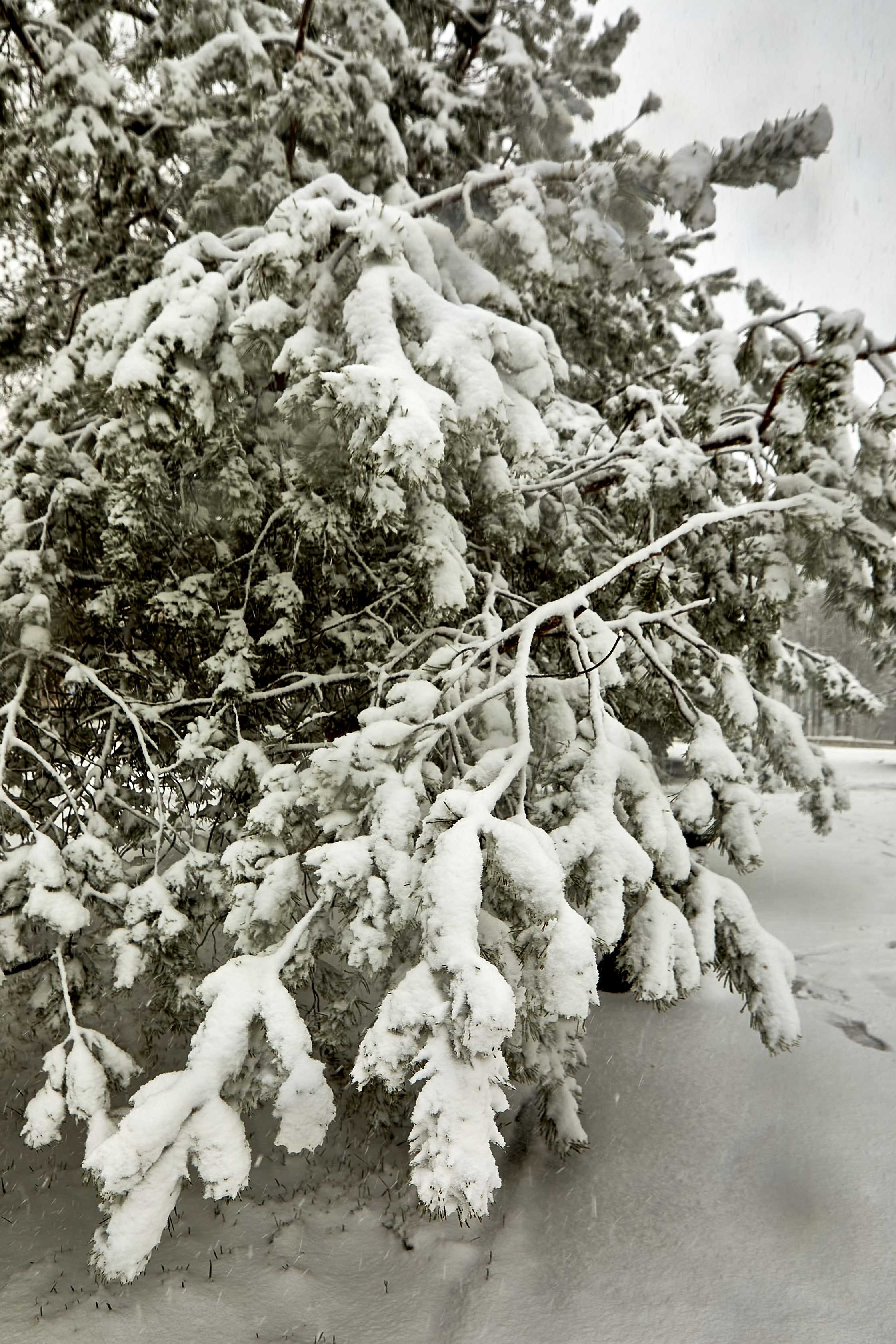 Видовые фото УГНТУ. УГНТУ — Ведущий нефтегазовый вуз России