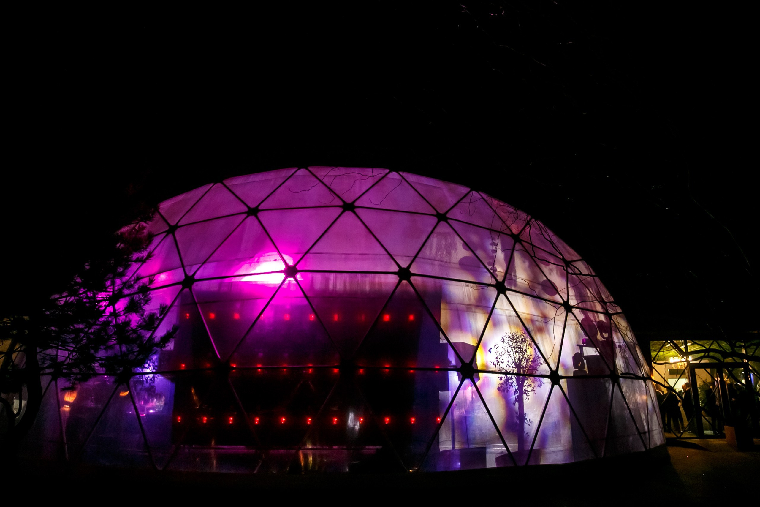 Ход Короля. Свадебное фото и видео в Ростове-на-Дону, Краснодаре, Москве и Крыму