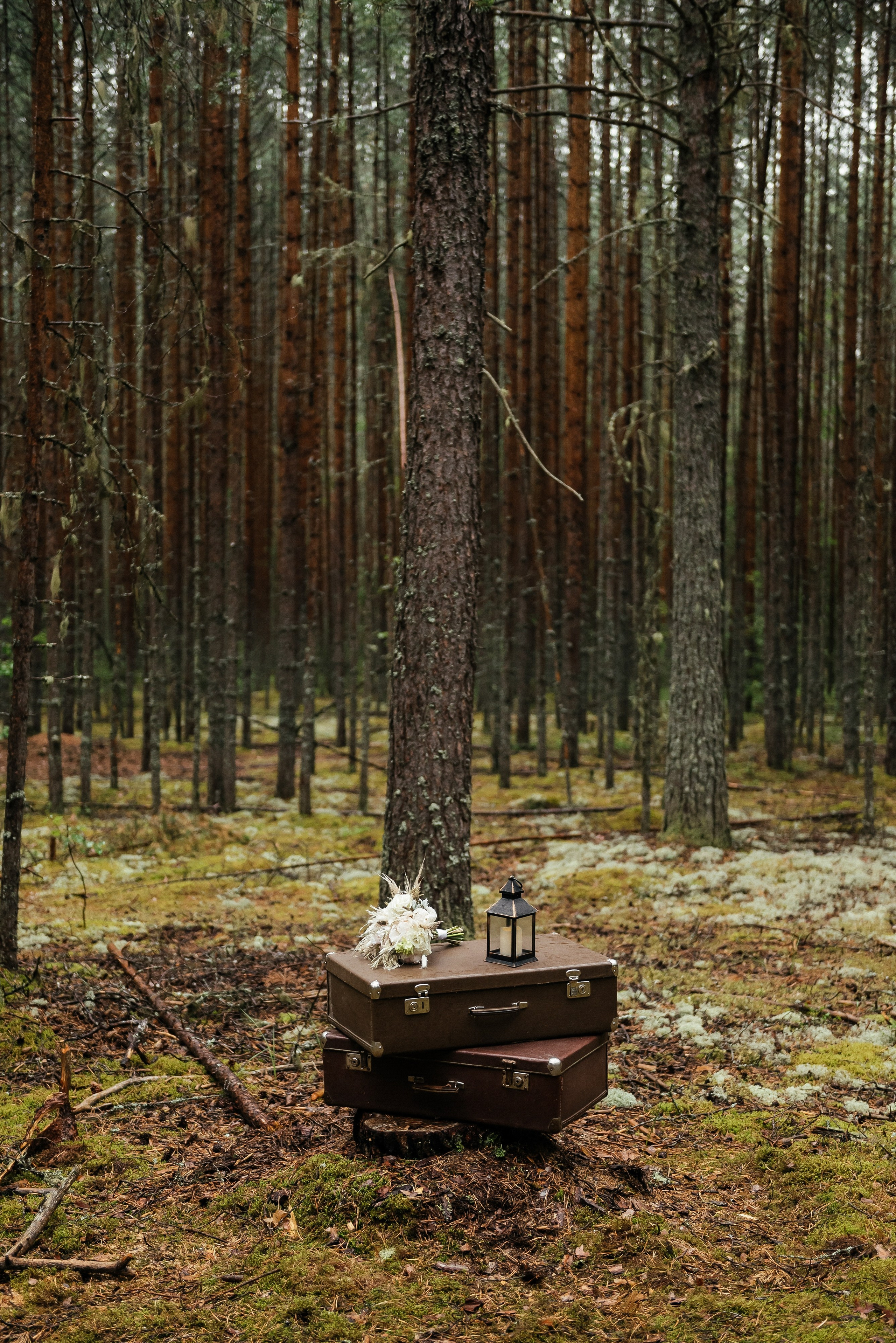 Никита и Софья. Zhulanovilya