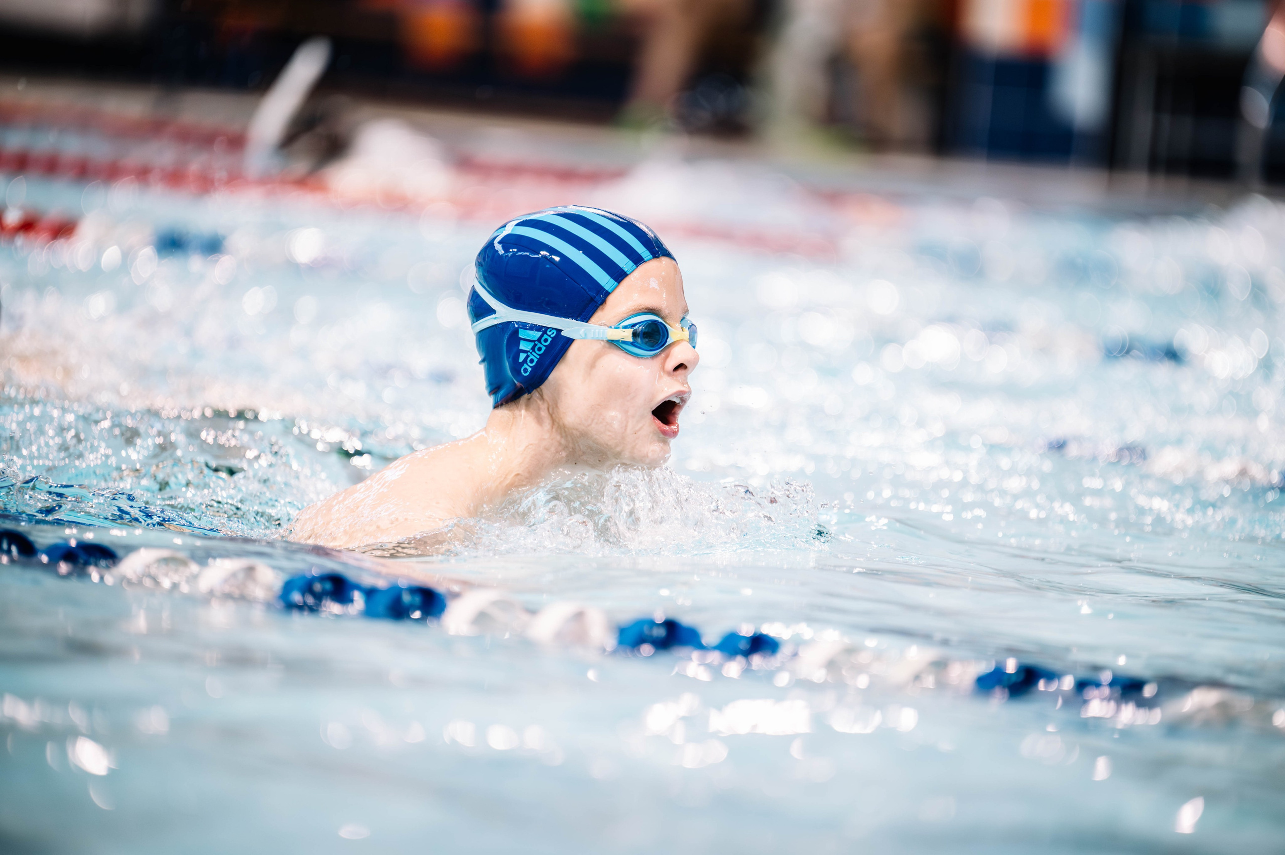 Первый этап кубка плавания, Дельфин. Октябрь, 2024. Спортивный фотограф в Туле и Тульской области. Файсханова Фото Спорт