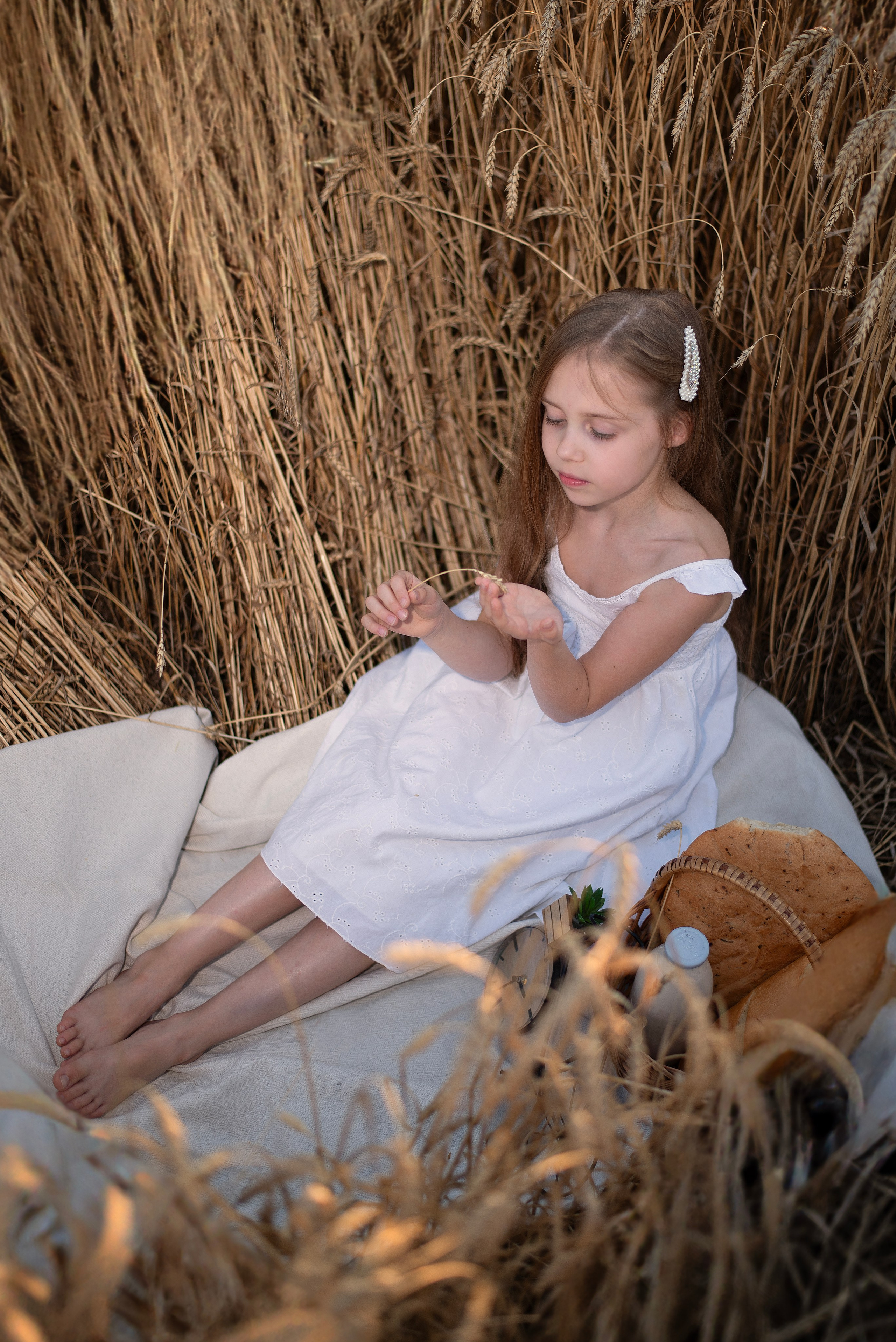 Пшеница. Главная