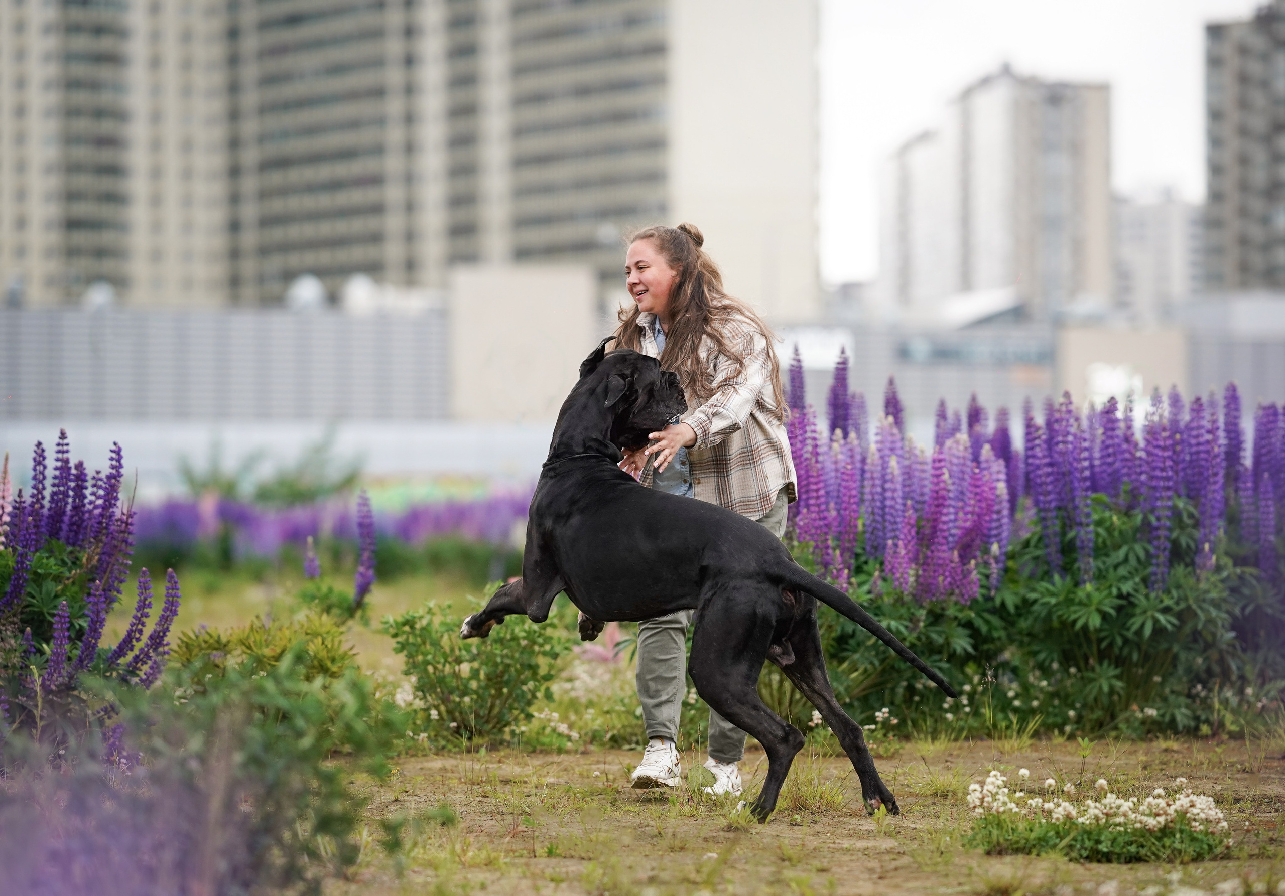 Вика и Трофей люпины. Фотограф-анималист в Санкт-Петербурге Яна Мартынова