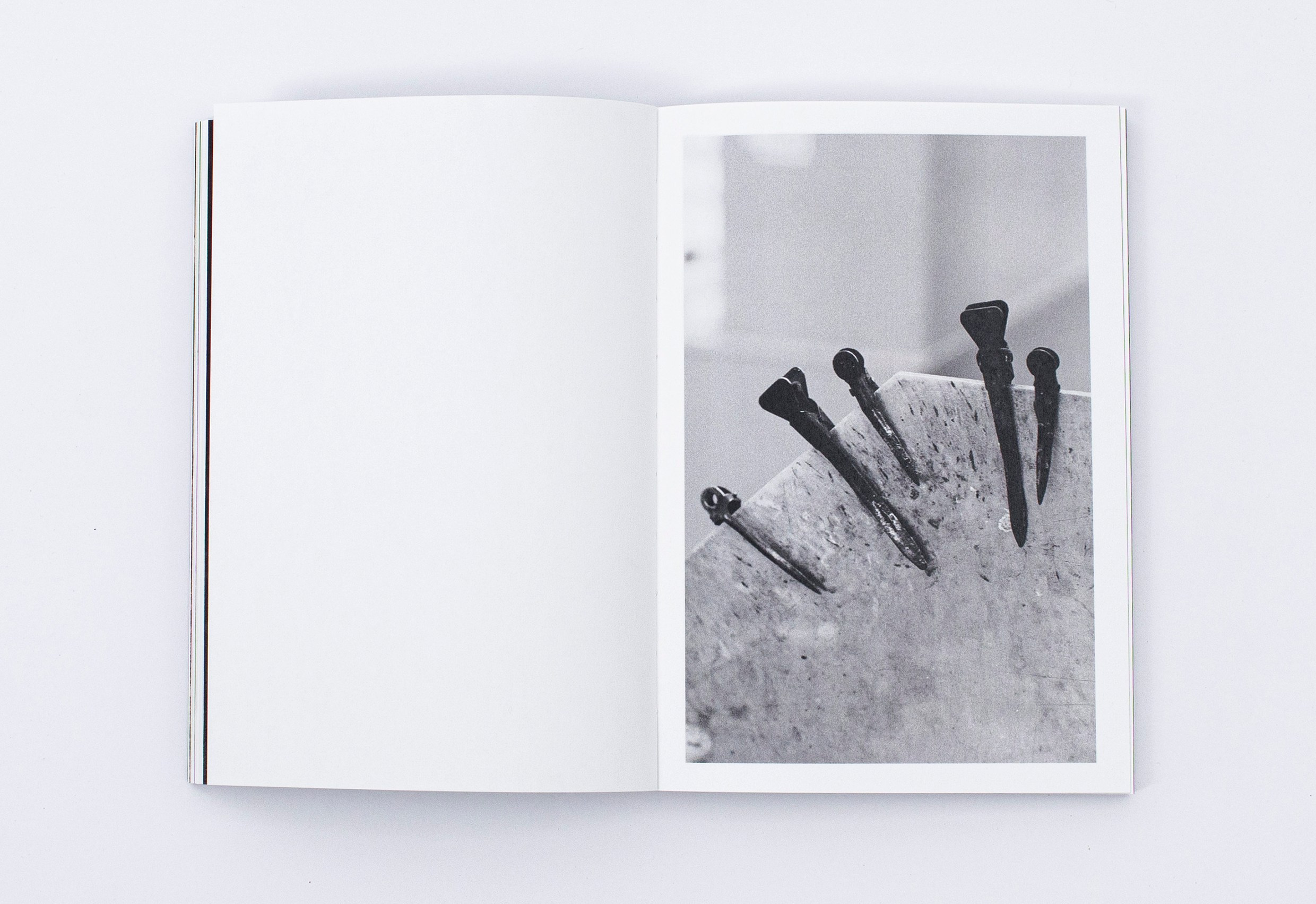 Книга. Фотограф в Москве Алейникова Евгения