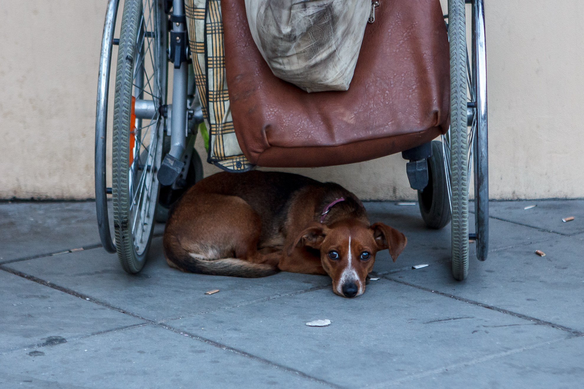 Стрит / Архитектура / Путешествия. Портретный, интерьерный и фуд фотограф в Перми Иван Вострецов