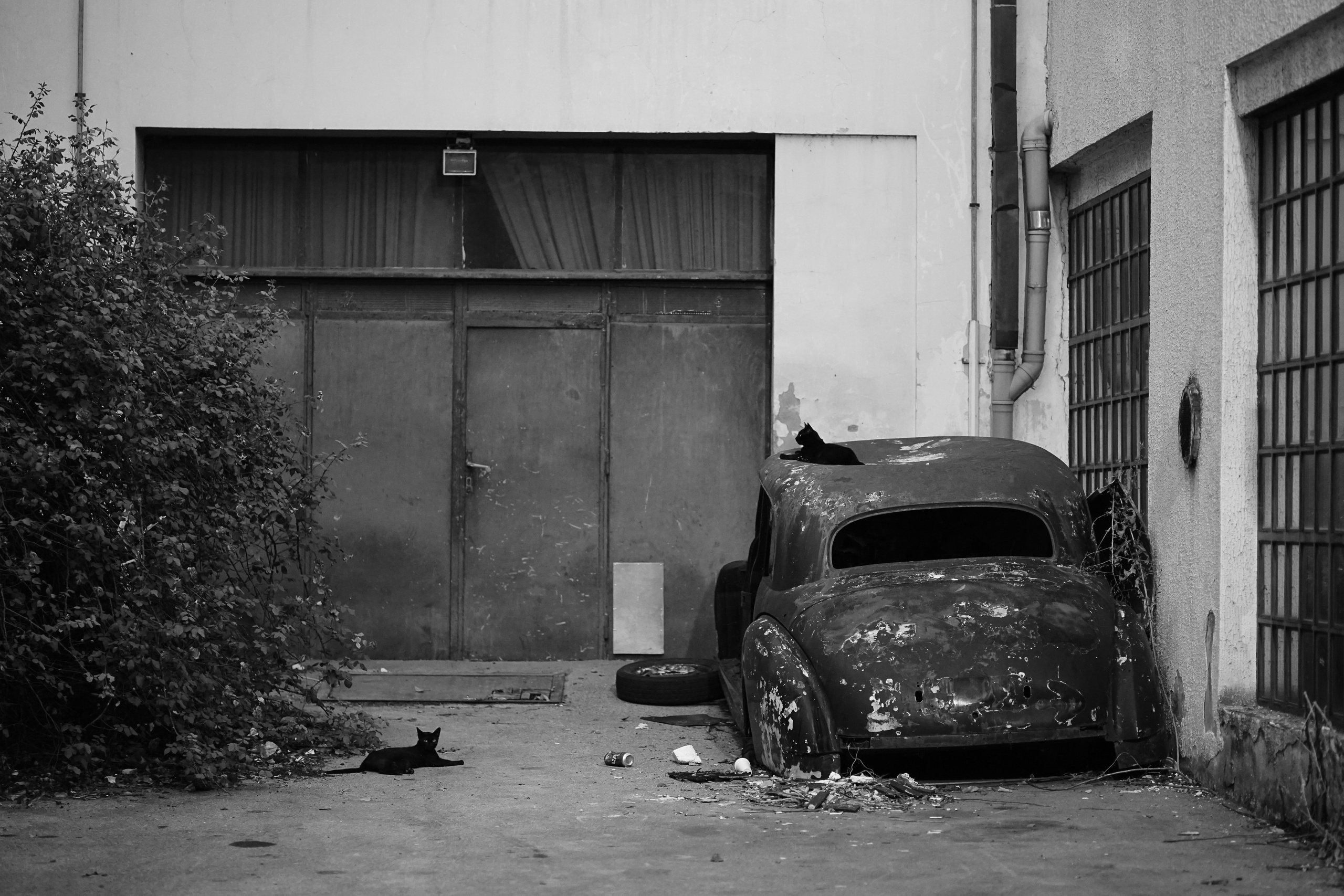 Urban and Street. Oleg Kozachok — Photographer with Protanopia | Portraits, Texture & Light