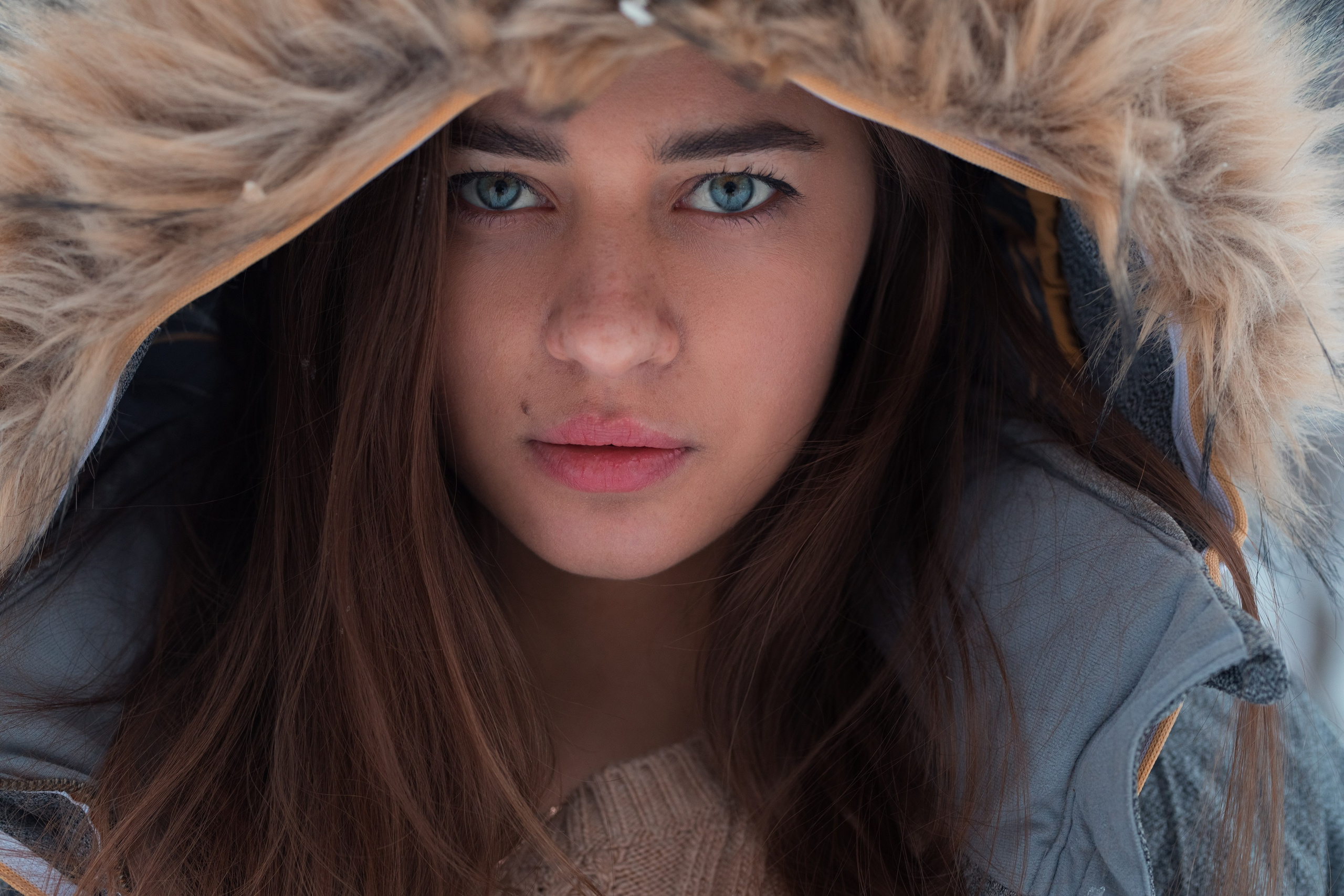 Зимняя съемка в лесу с доберманом с Ольгой в формате для «себя»