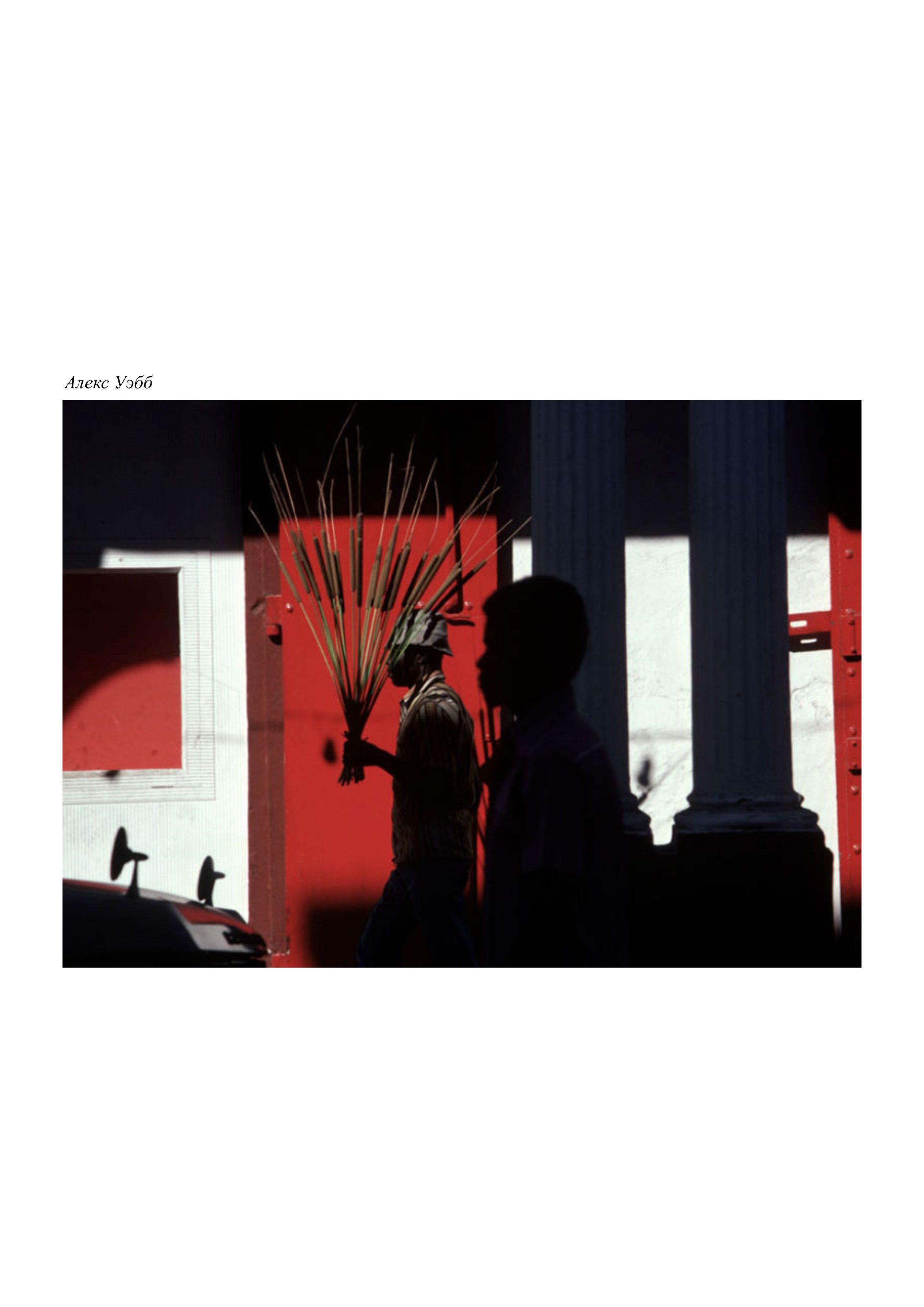 Фотопрогулка. 5 февраля. Фотограф Алматы, курс по Фотографии в Алматы. Дмитриева Наталья