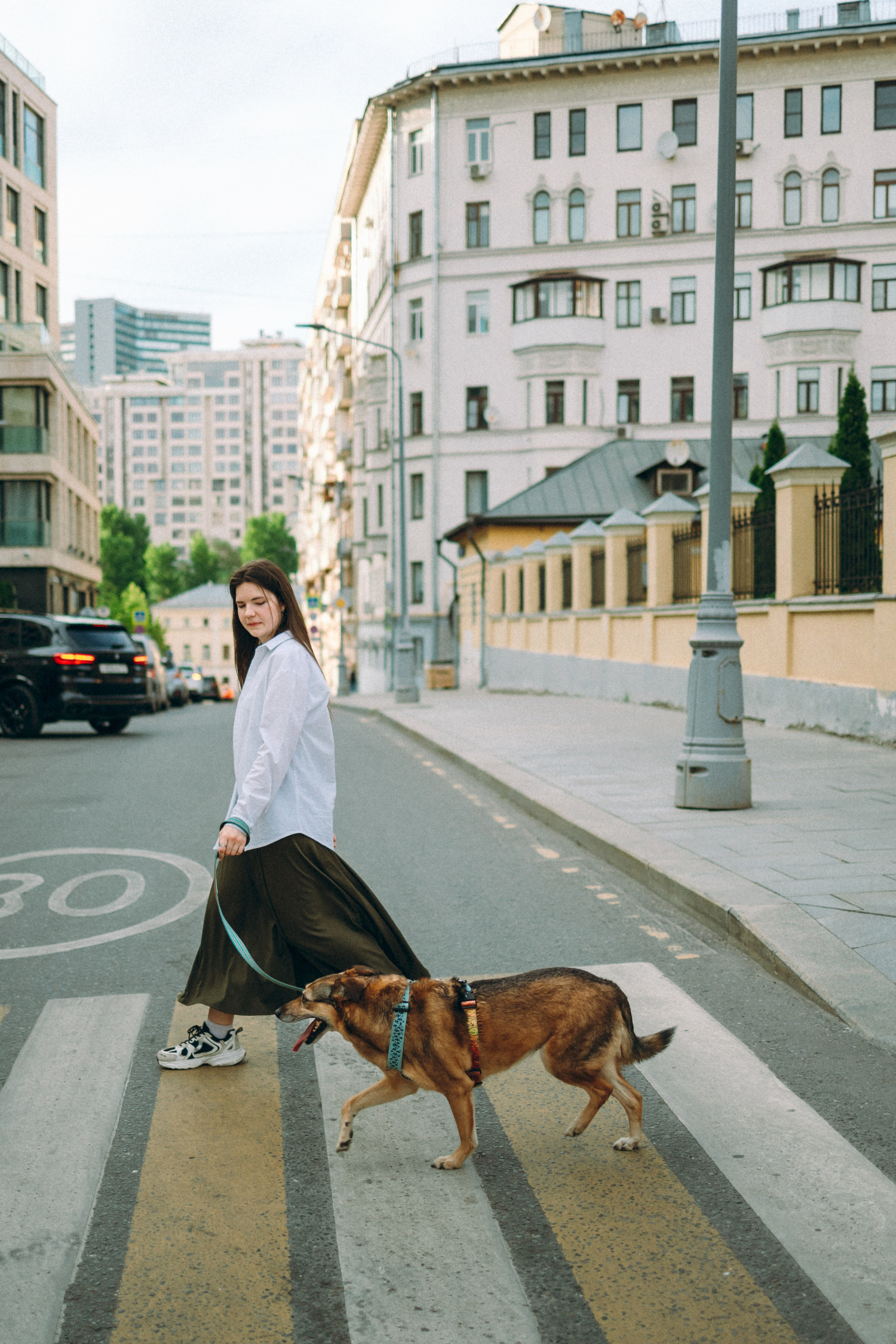 Глаша, Айрон, Ксюша и Оля. Фотограф анималист Анастасия Пикей
