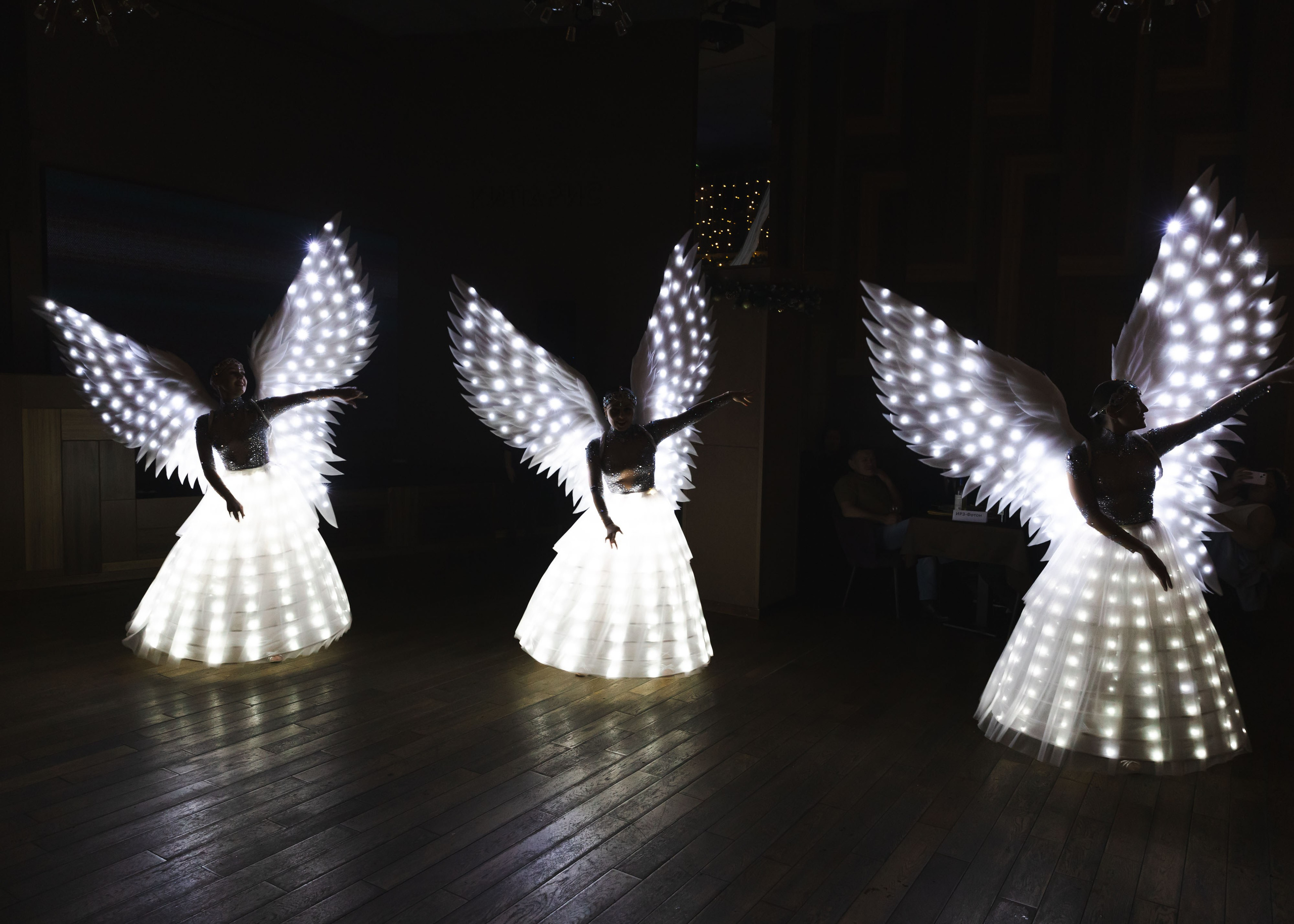 Предновгодка Кипарис 2024. ФОТОГРАФ ВИНОГРАДОВА ДАРЬЯ