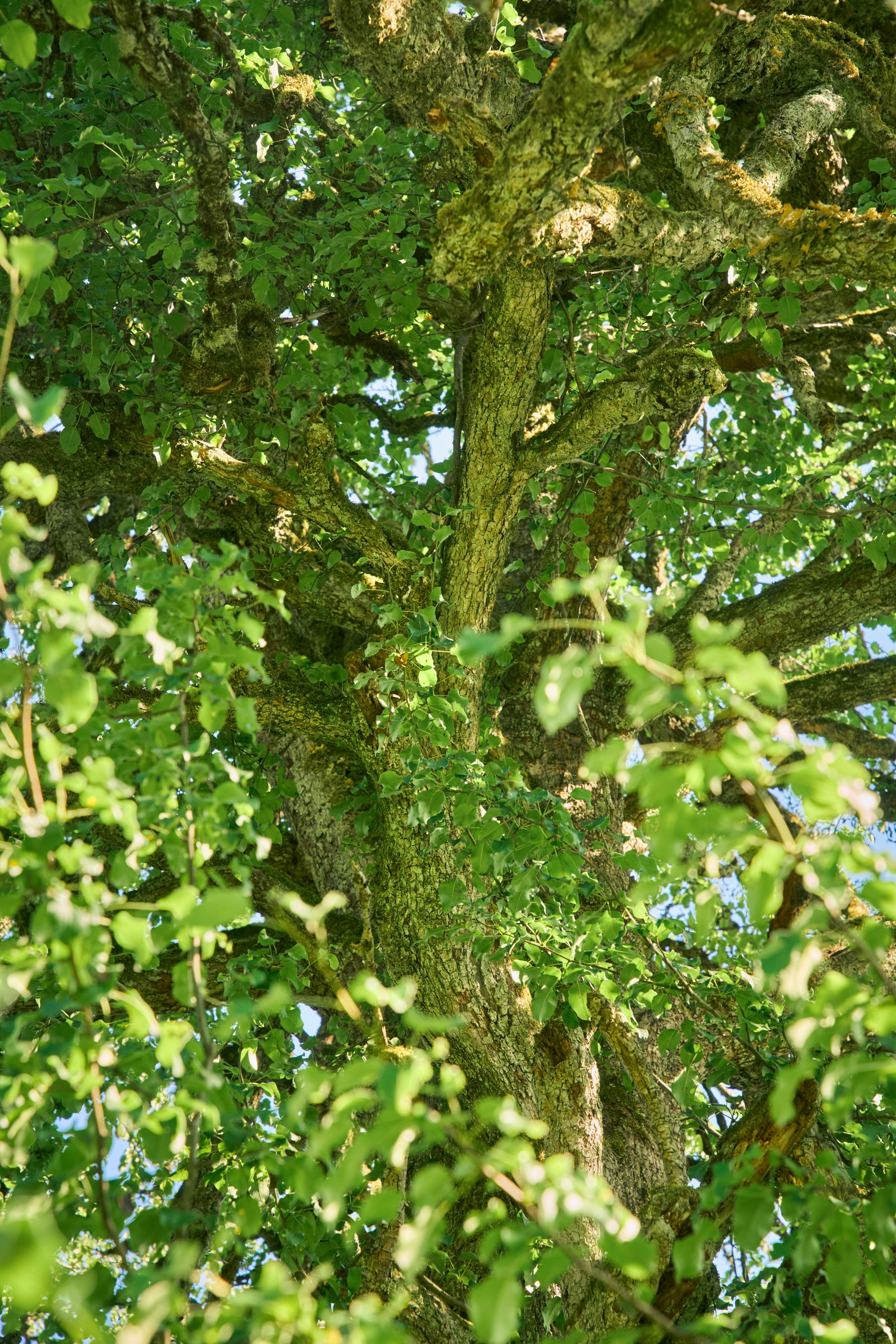 Съемка мероприятия на природе. Индивидуальный фотограф в Сочи Владимир Чудинов