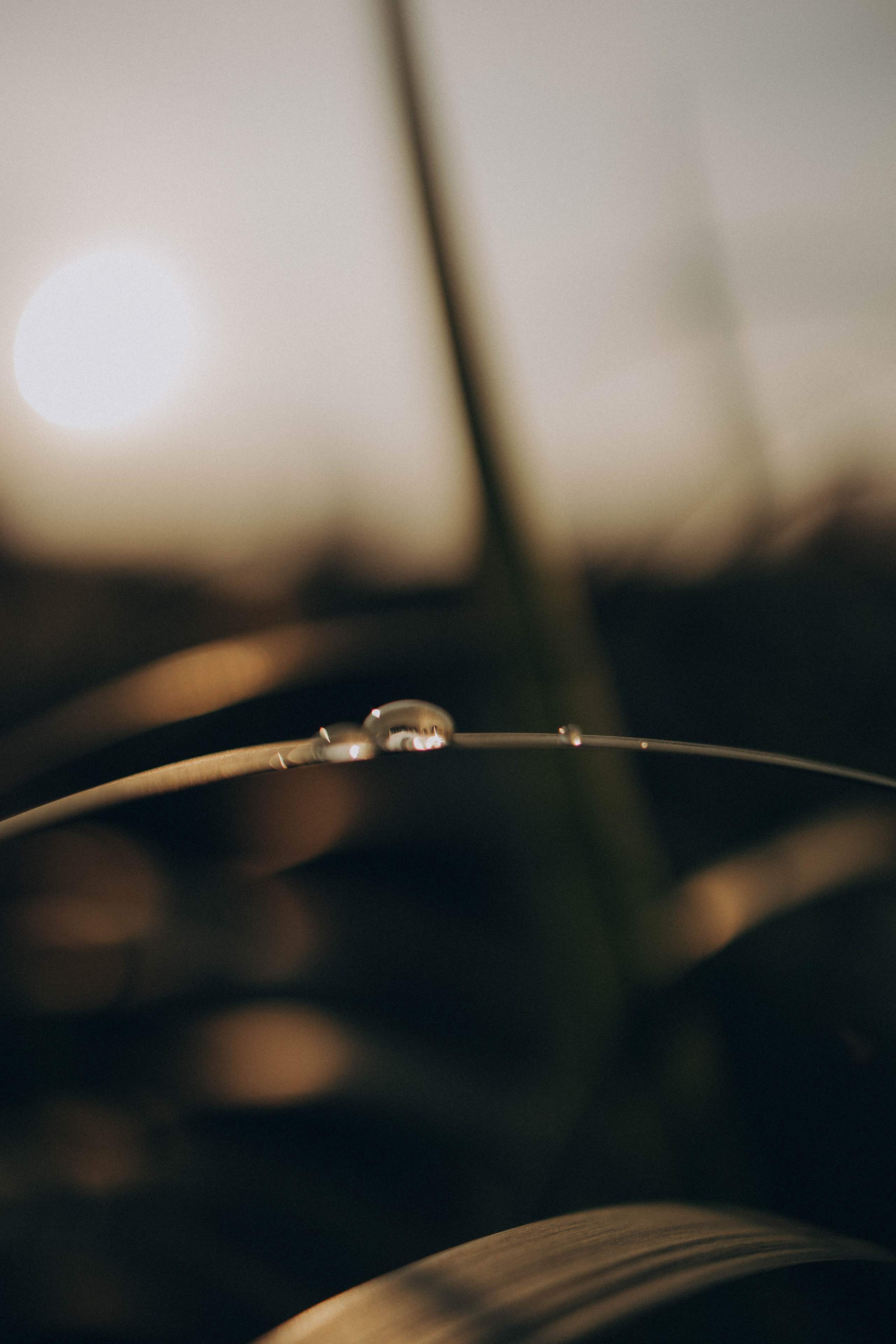 Одним летним днем. Фотограф lifestylе в Москве Пшеничная Анастасия