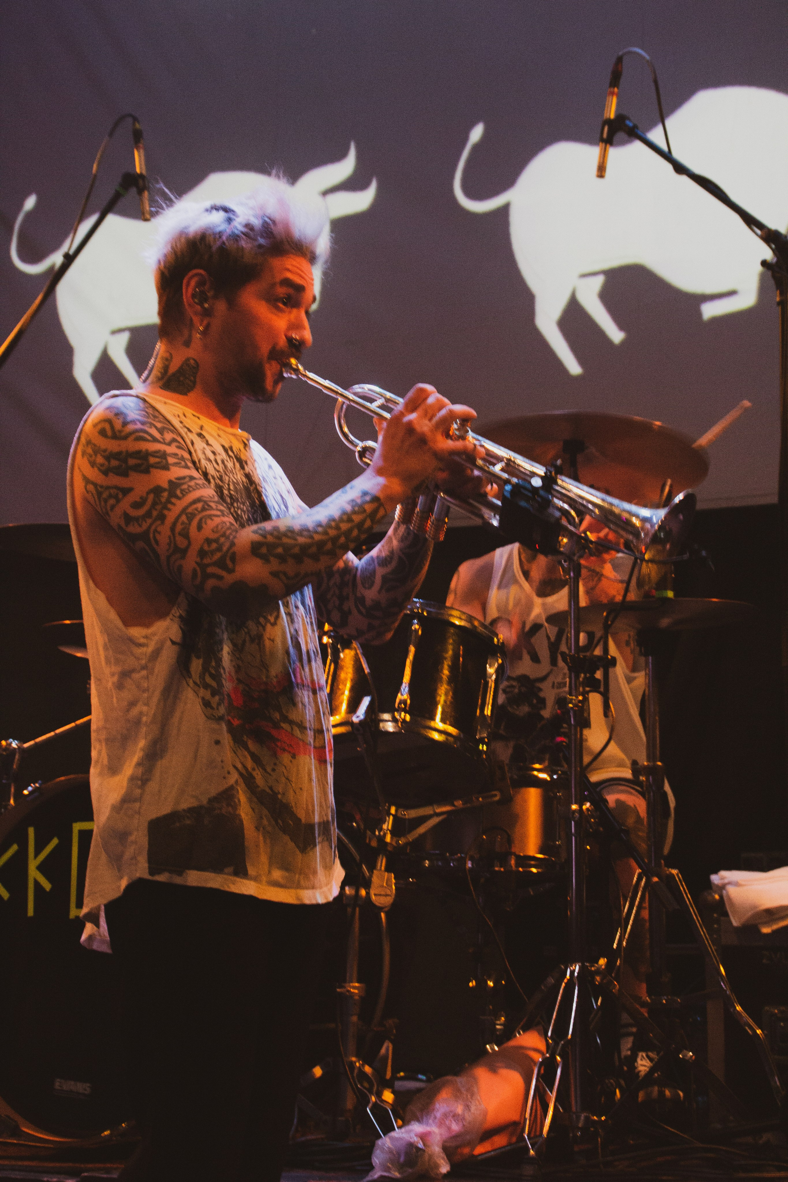 СКОТЫ | 11.12.2024 | ЛАСТОЧКА. VLADIS PISKUNOV | Концертные Фото |Репортажи