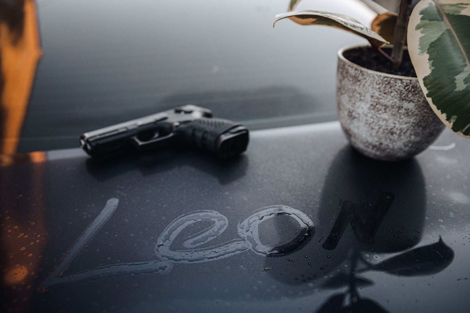 LEON. Свадебный фотограф в Томске | Александр Овчаренко