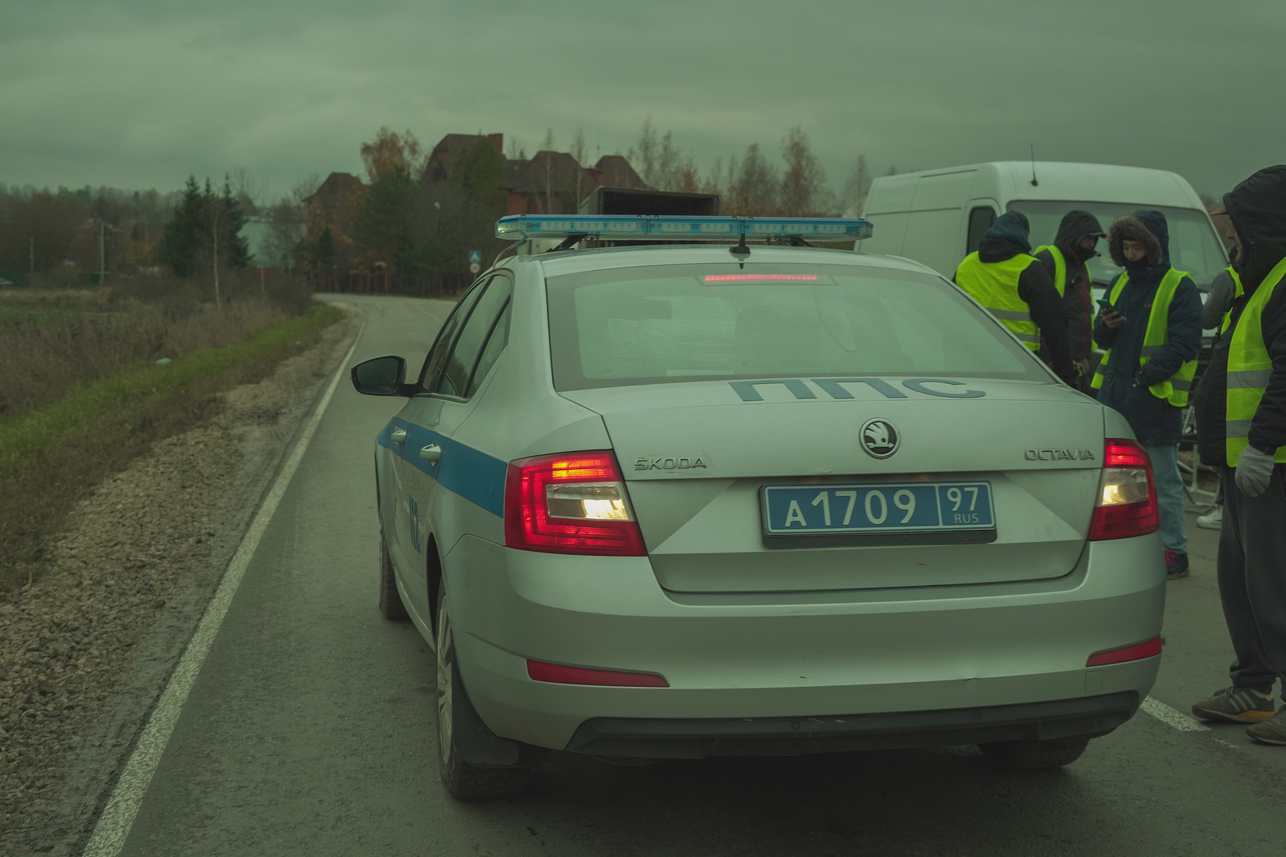 За кадром — КФ " Я женил своих родителей ". Beardy Pix