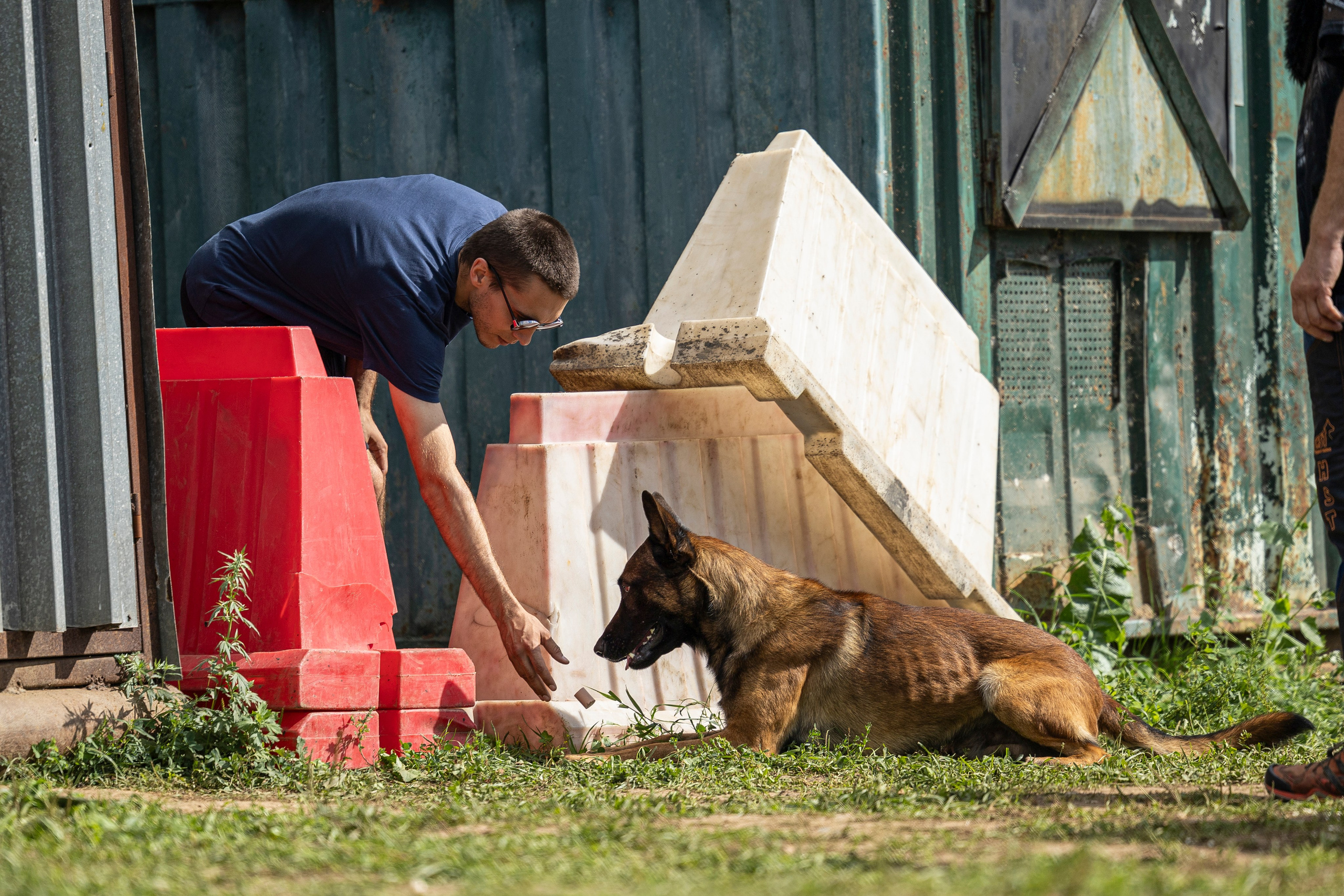 Соревнования по Мондьорингу г. Вологда 10-11.08.2024. Фотограф-анималист Анна Маринич