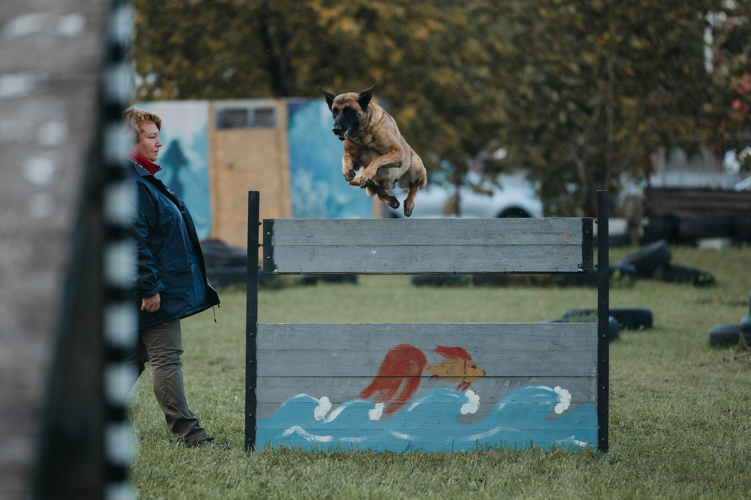 Испытания по мондьорингу г. Пушкин 29.09.2024. Фотограф-анималист Анна Маринич