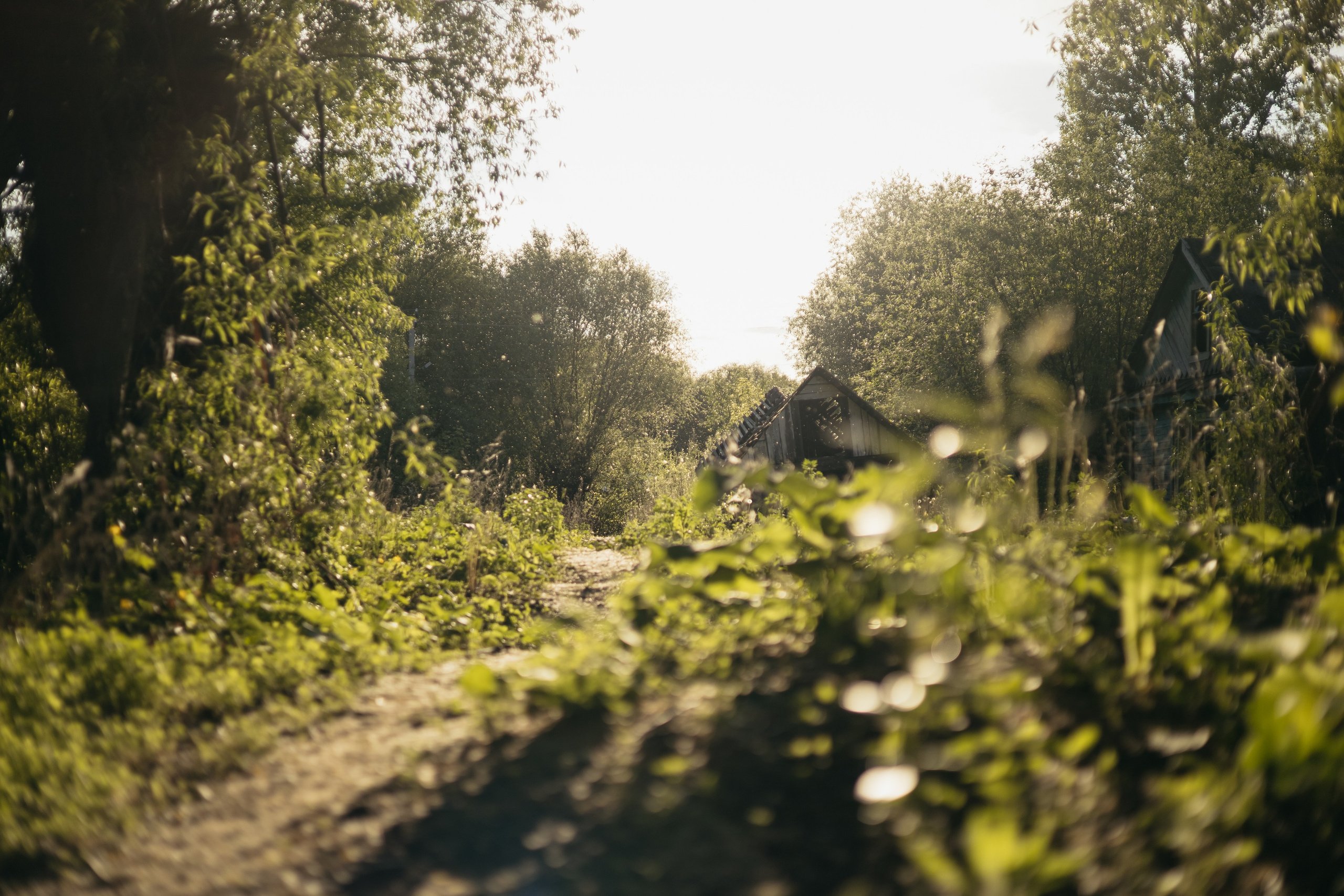 DINARA. Фотограф Элла Ефимова